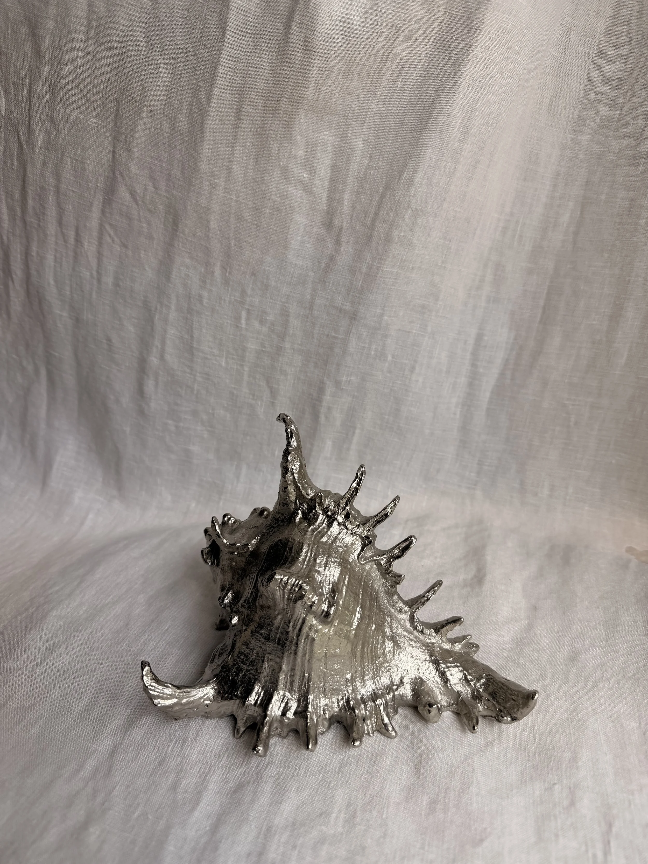 Large Shell Paperweight I