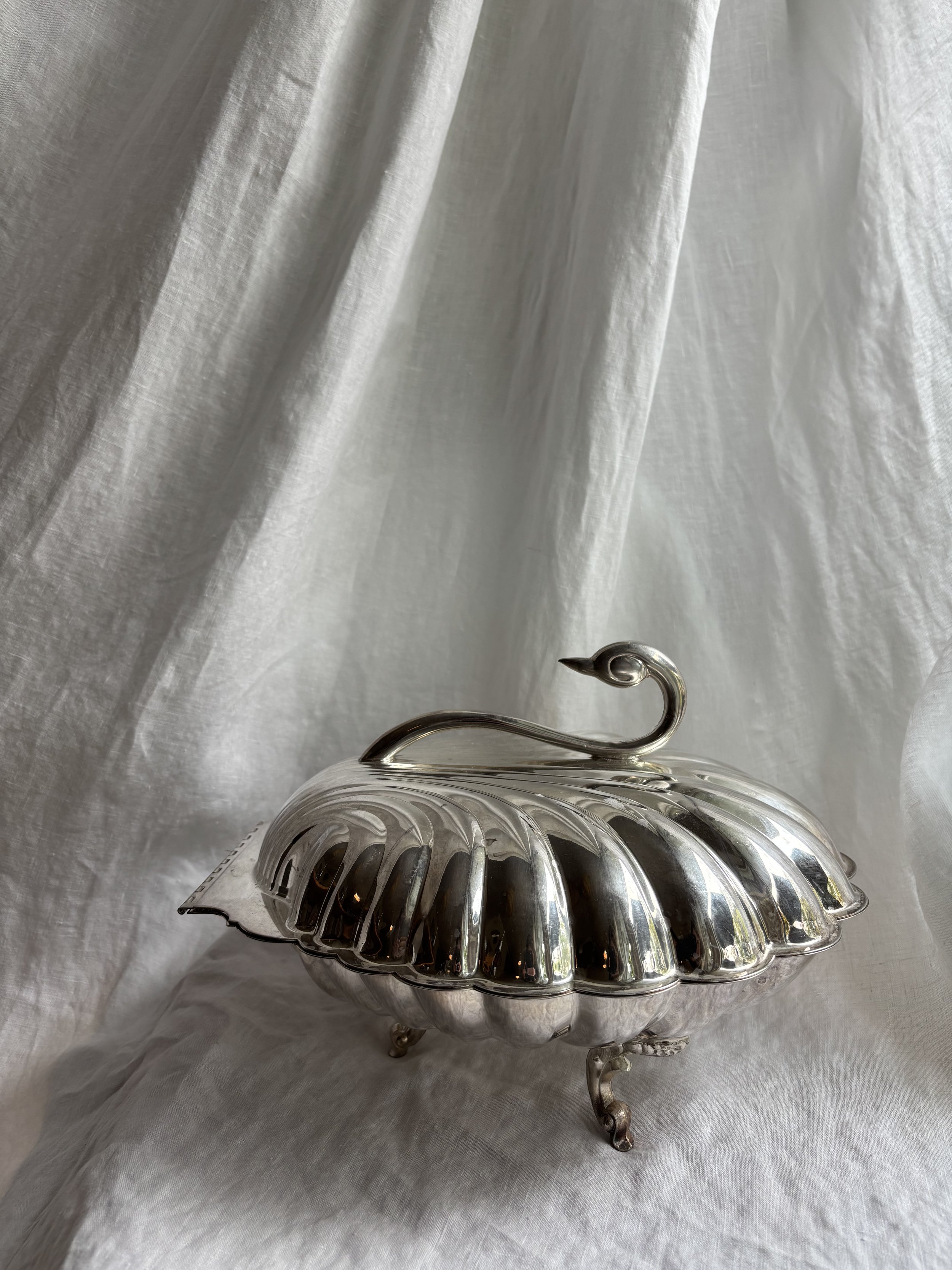 Swan Shell Serving Dish