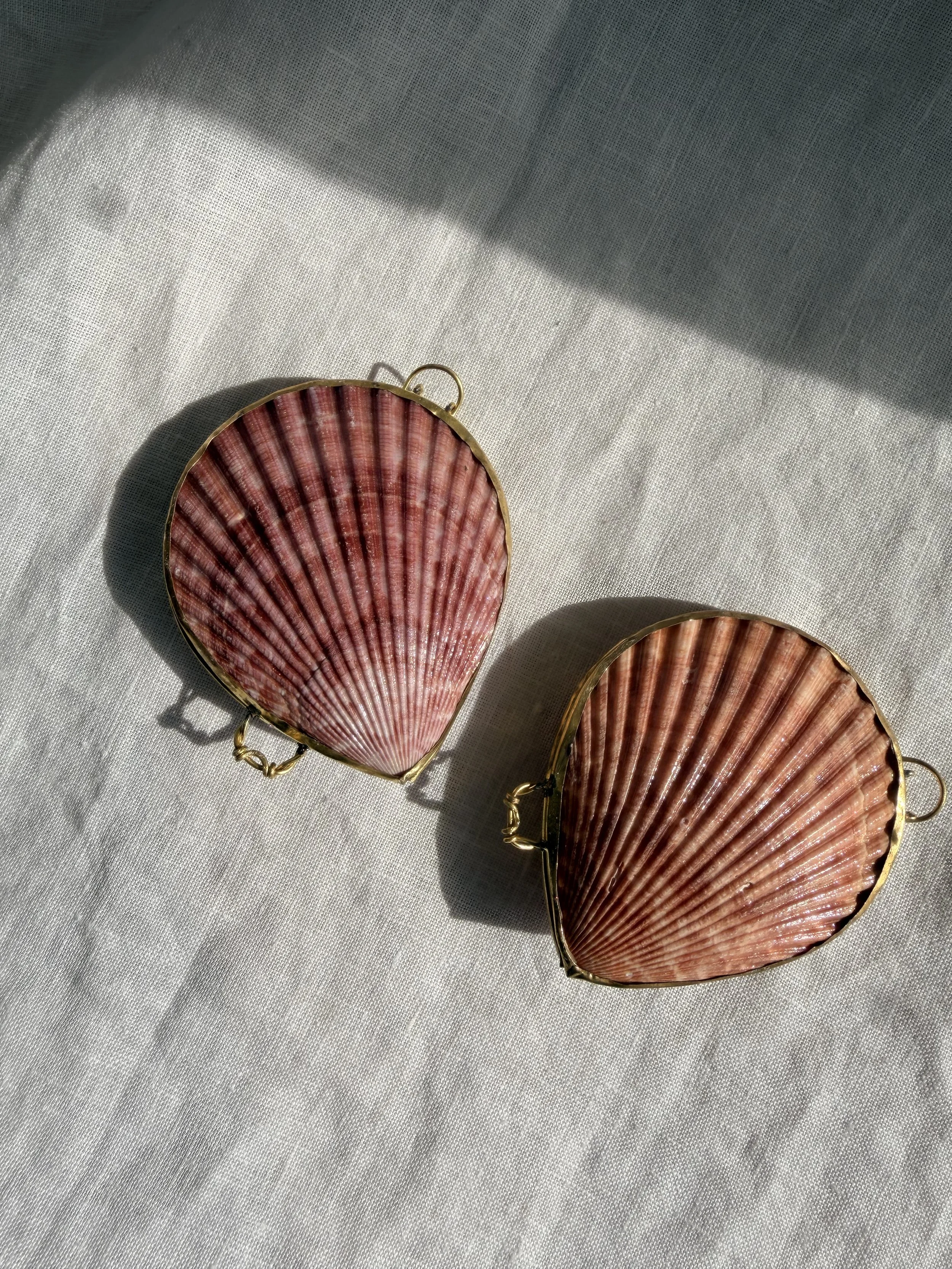Scallop Shell Pill Case