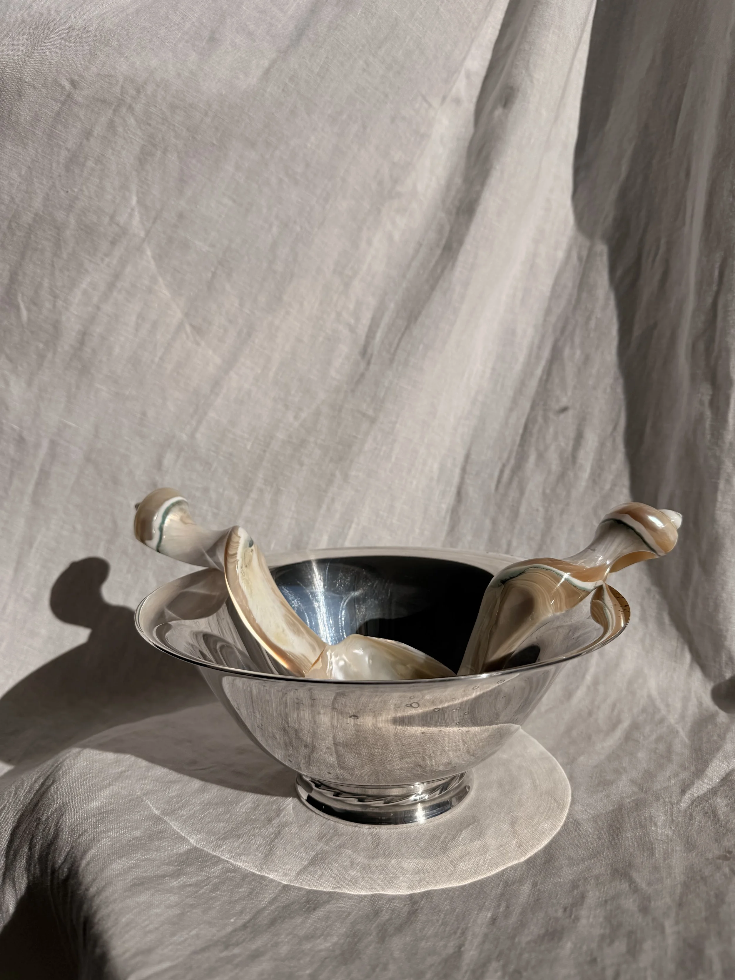 Medium Silver Bowl - IV