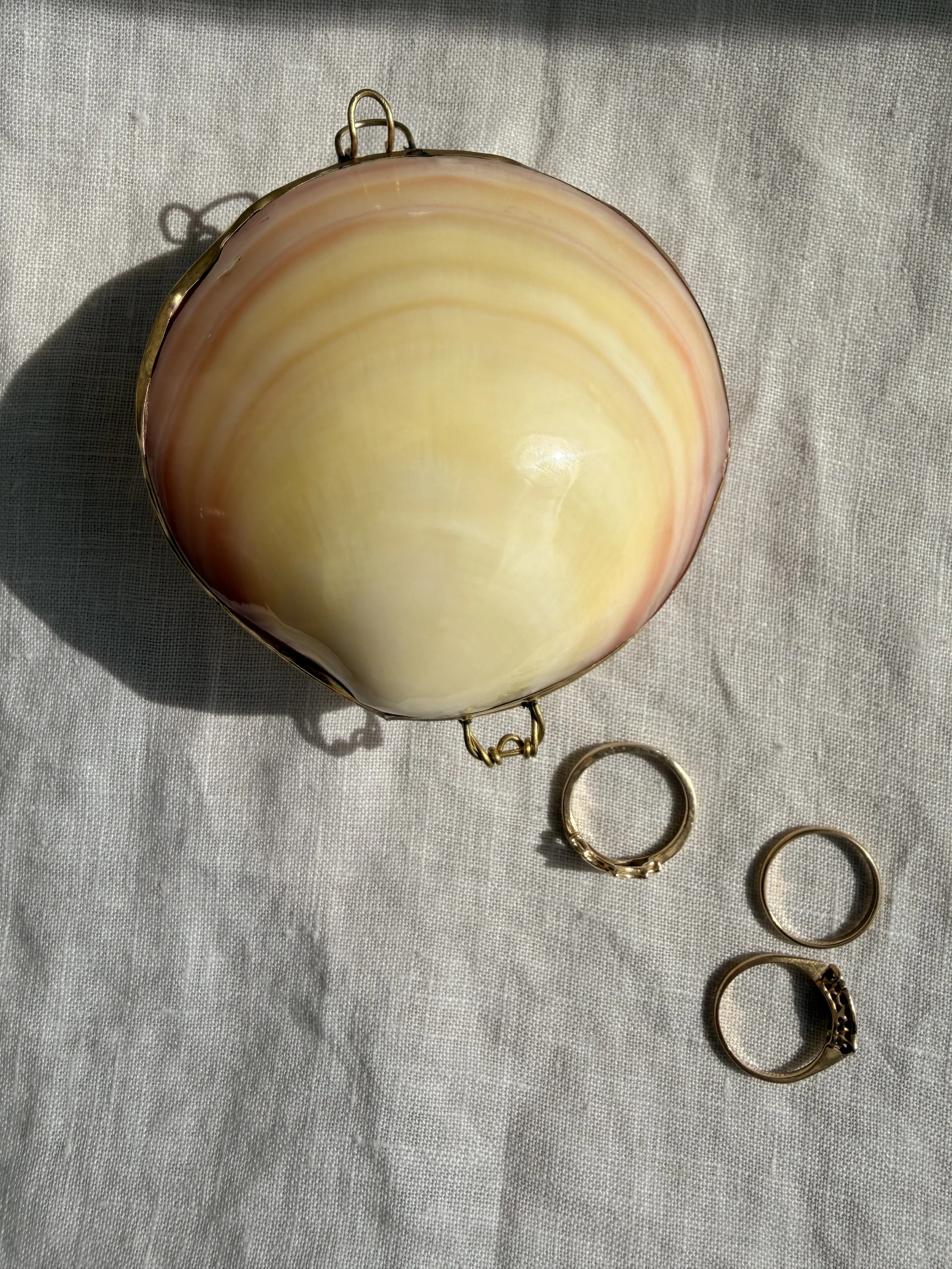 Clam Shell Pill Case