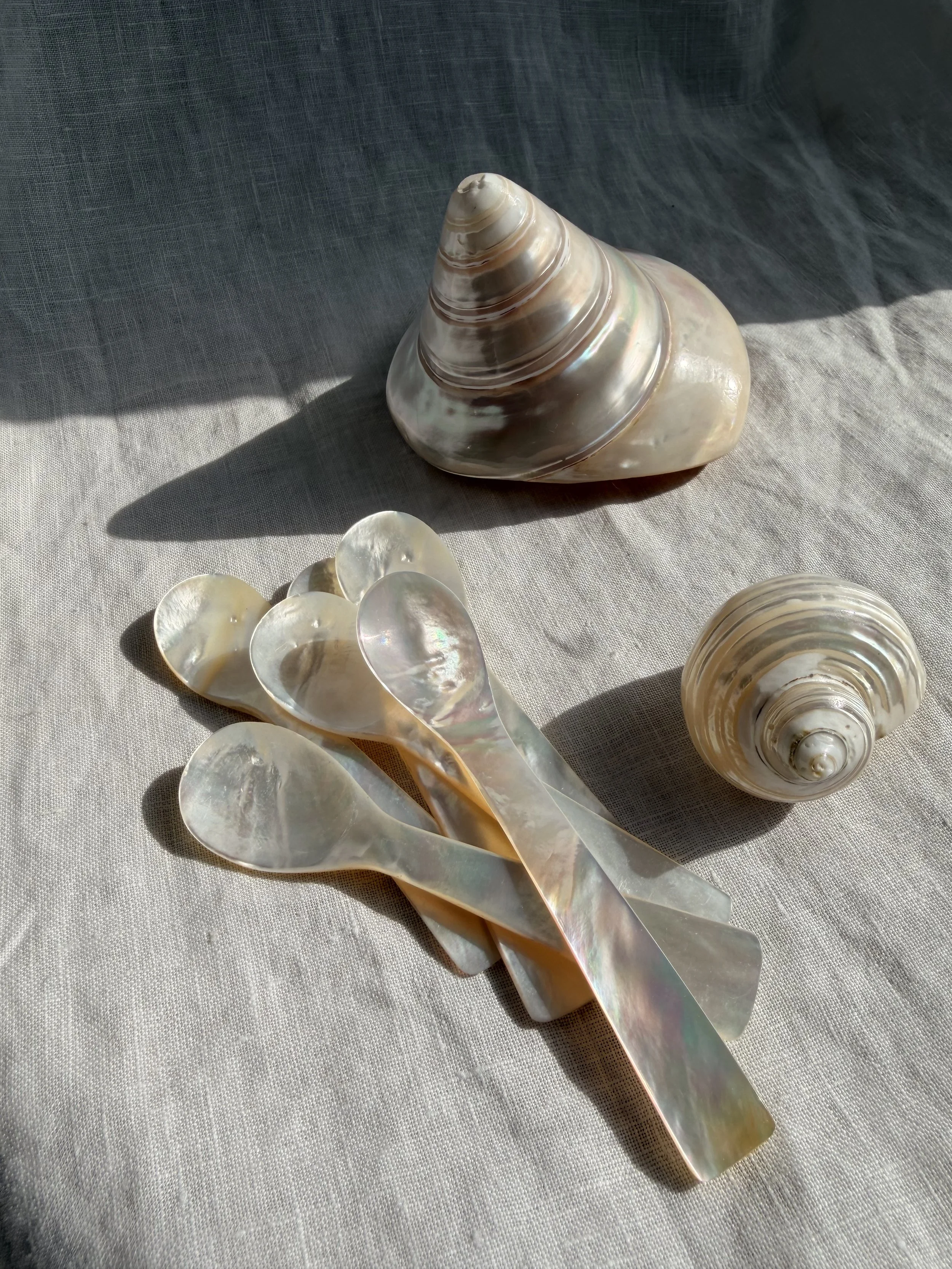 M.o.P. Caviar Spoon Set