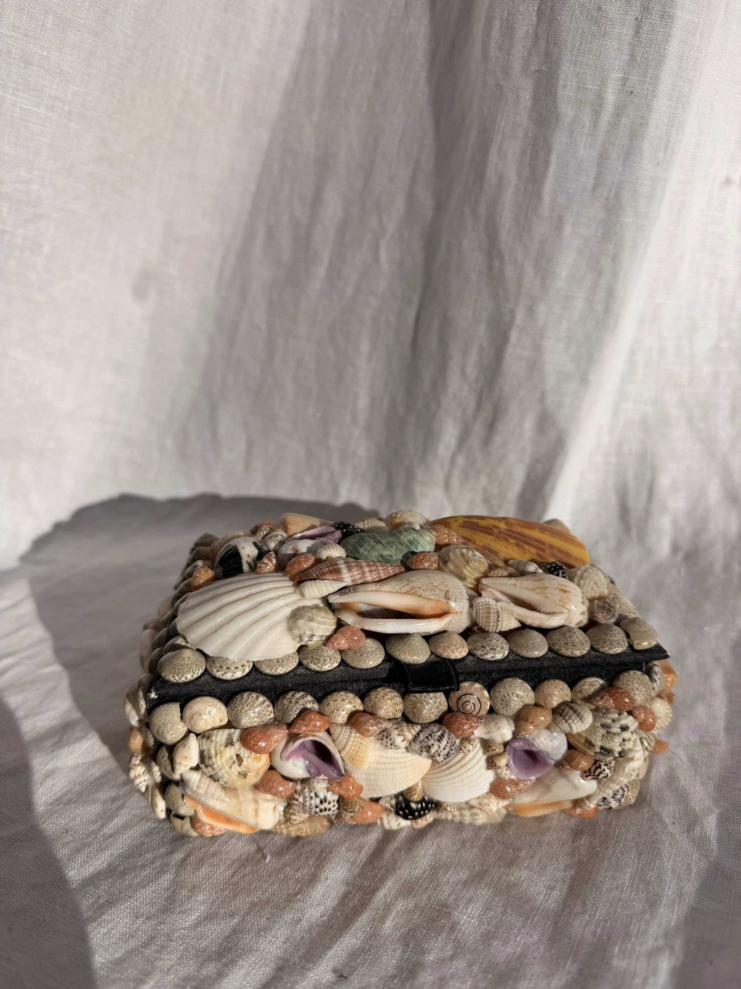 Shell Encrusted Keepsake Box - Petite