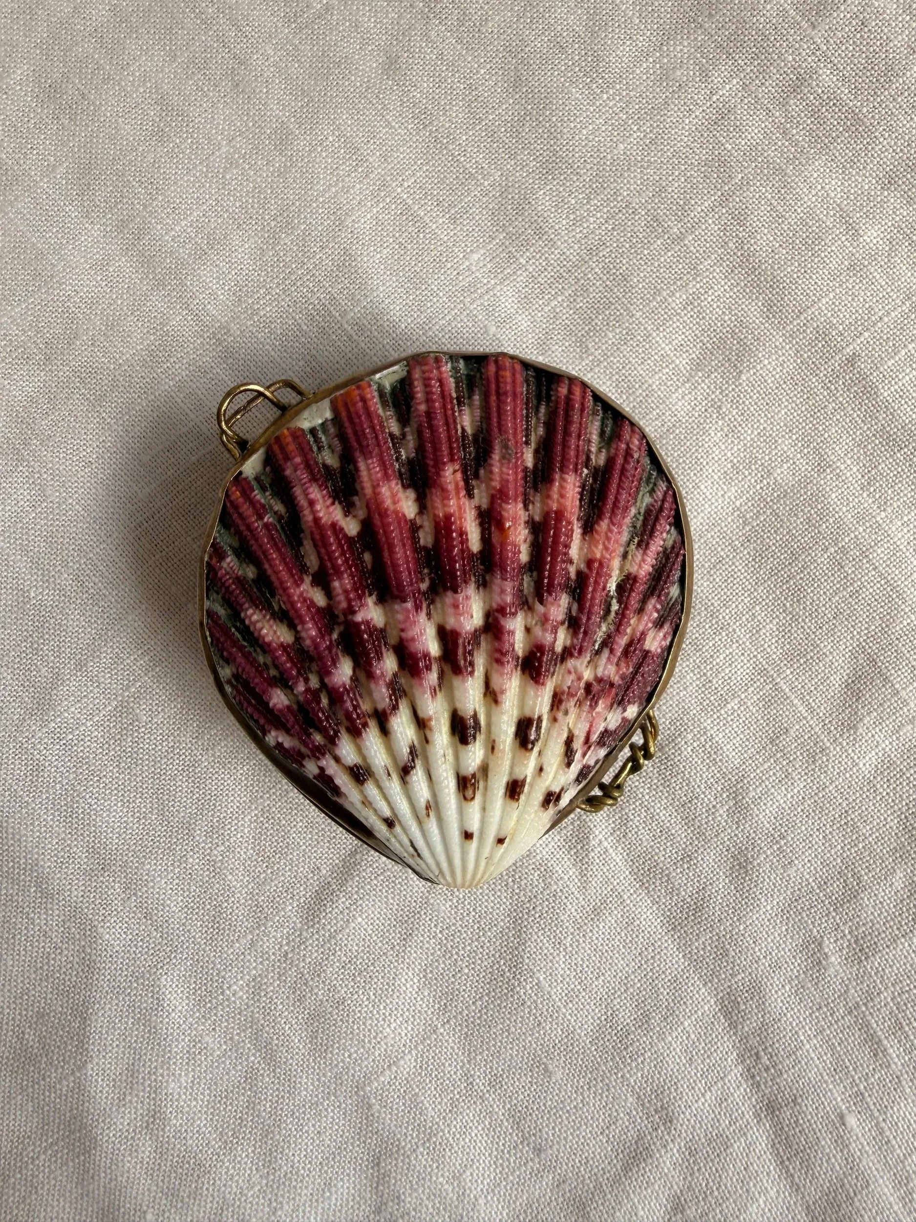 Scallop Shell Ring Case/Salt Shell