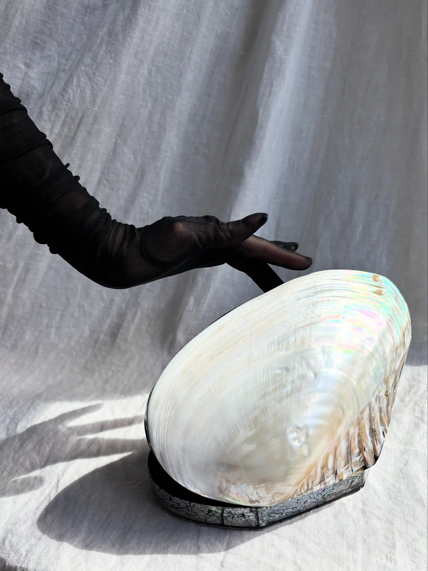 Large M.o.P. Shell Box