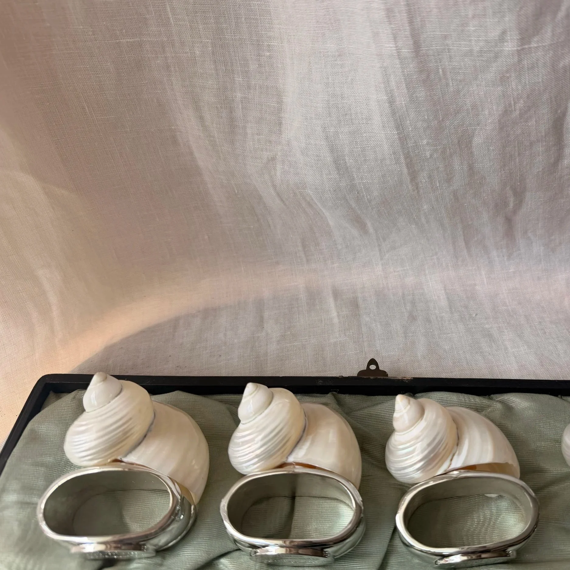 IMG_2331.jpg
