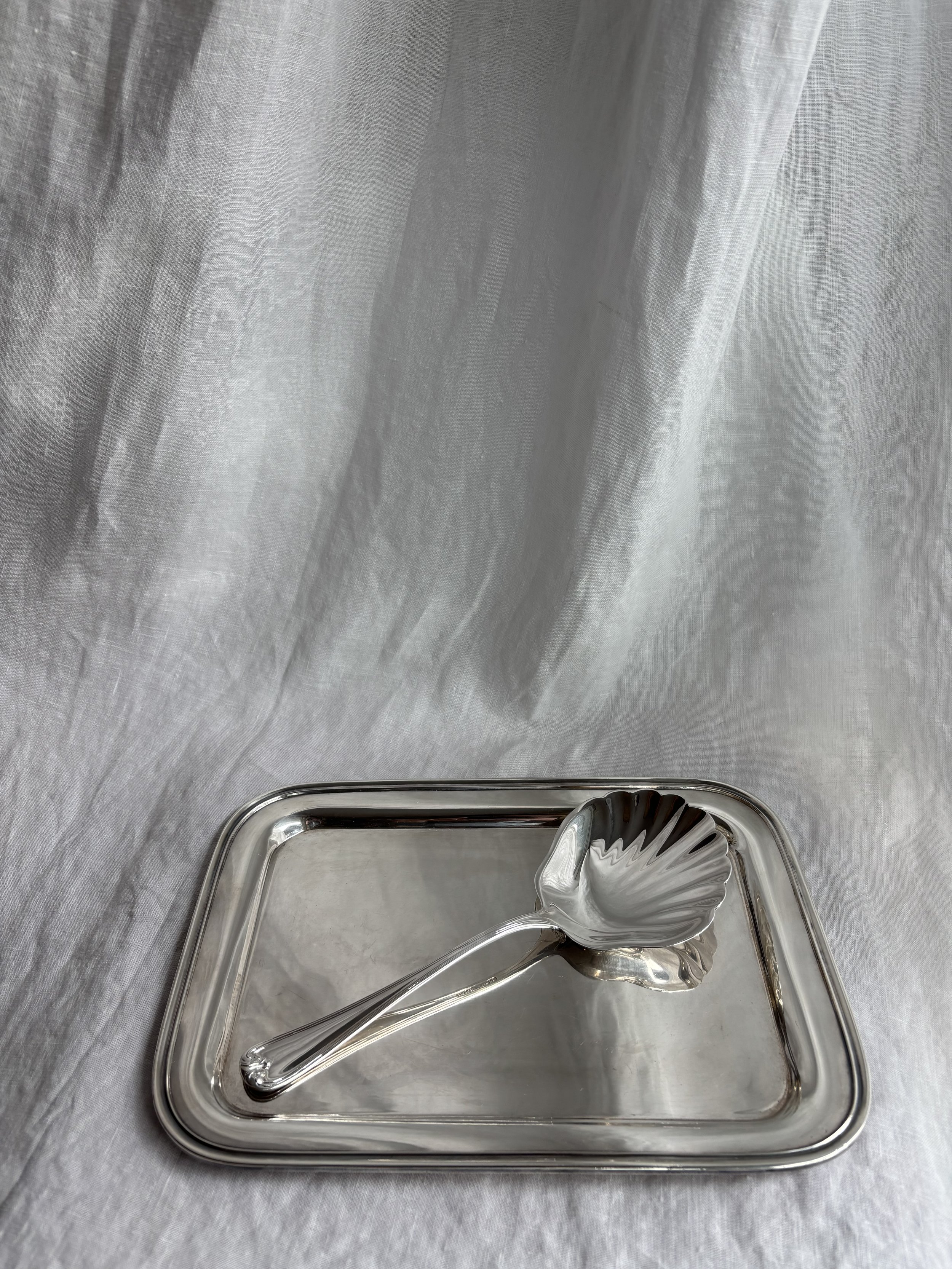 Italian Shell Spoon