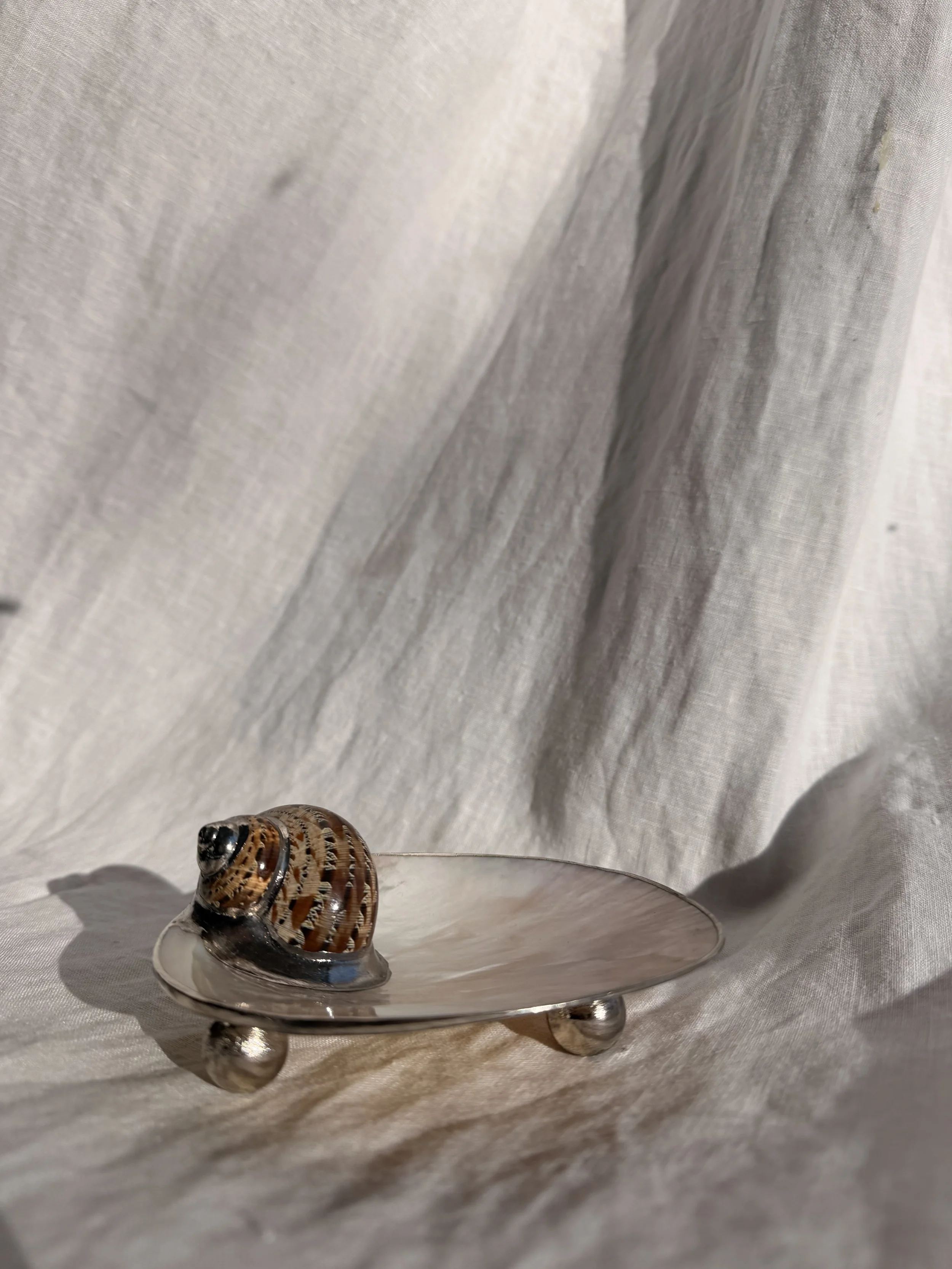 Mother of Pearl Snail Shell Dish