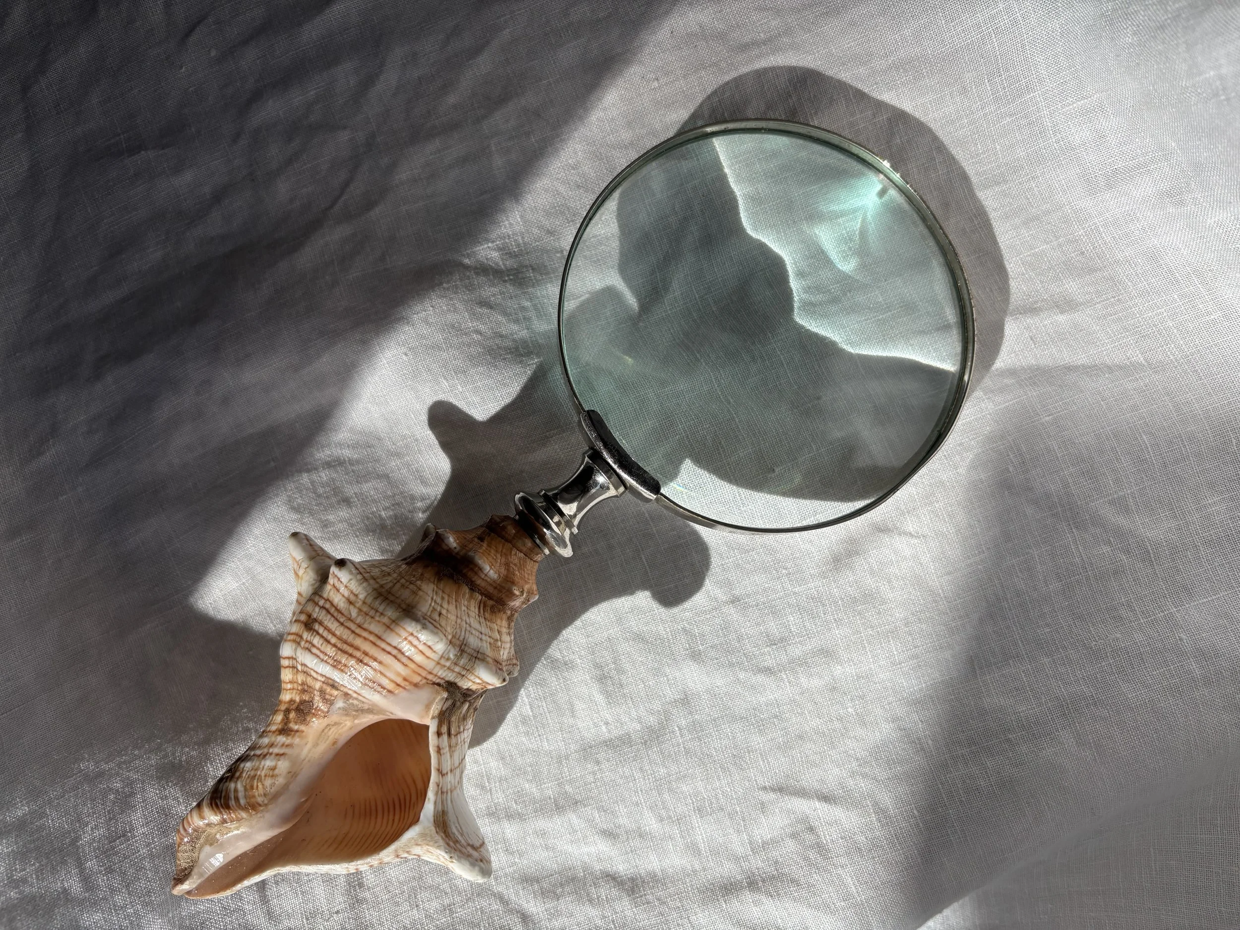 Murex Shell Magnifying Glass