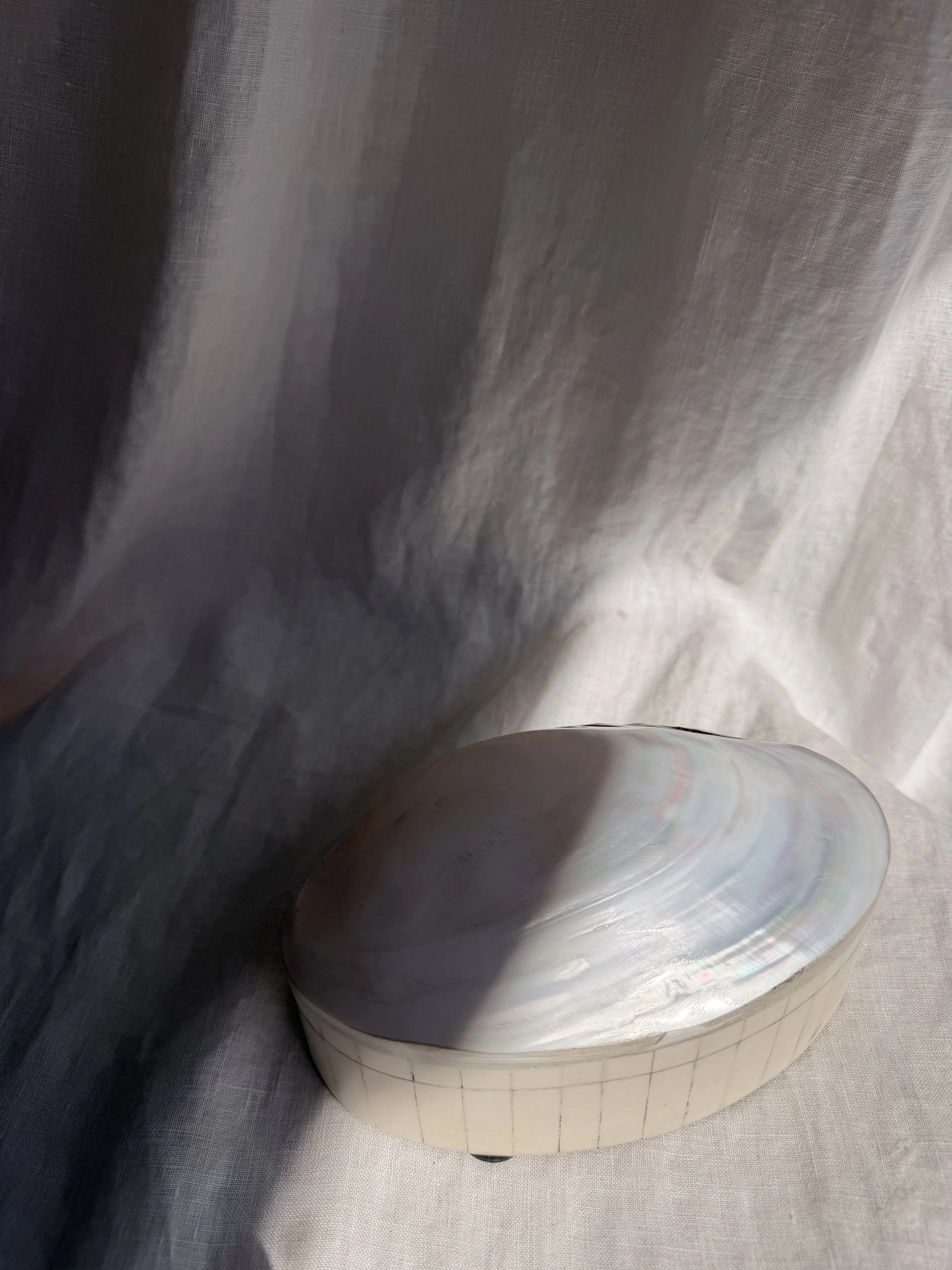 White M.o.P. Shell Box