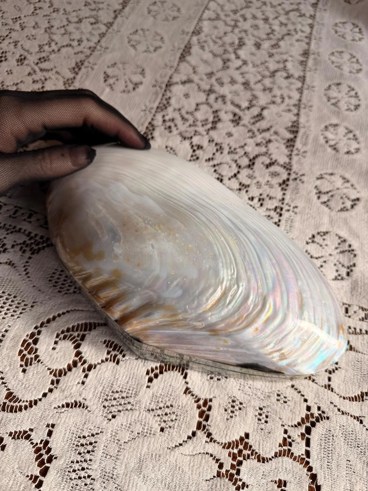 *RESERVED* Large Mother of Pearl Box