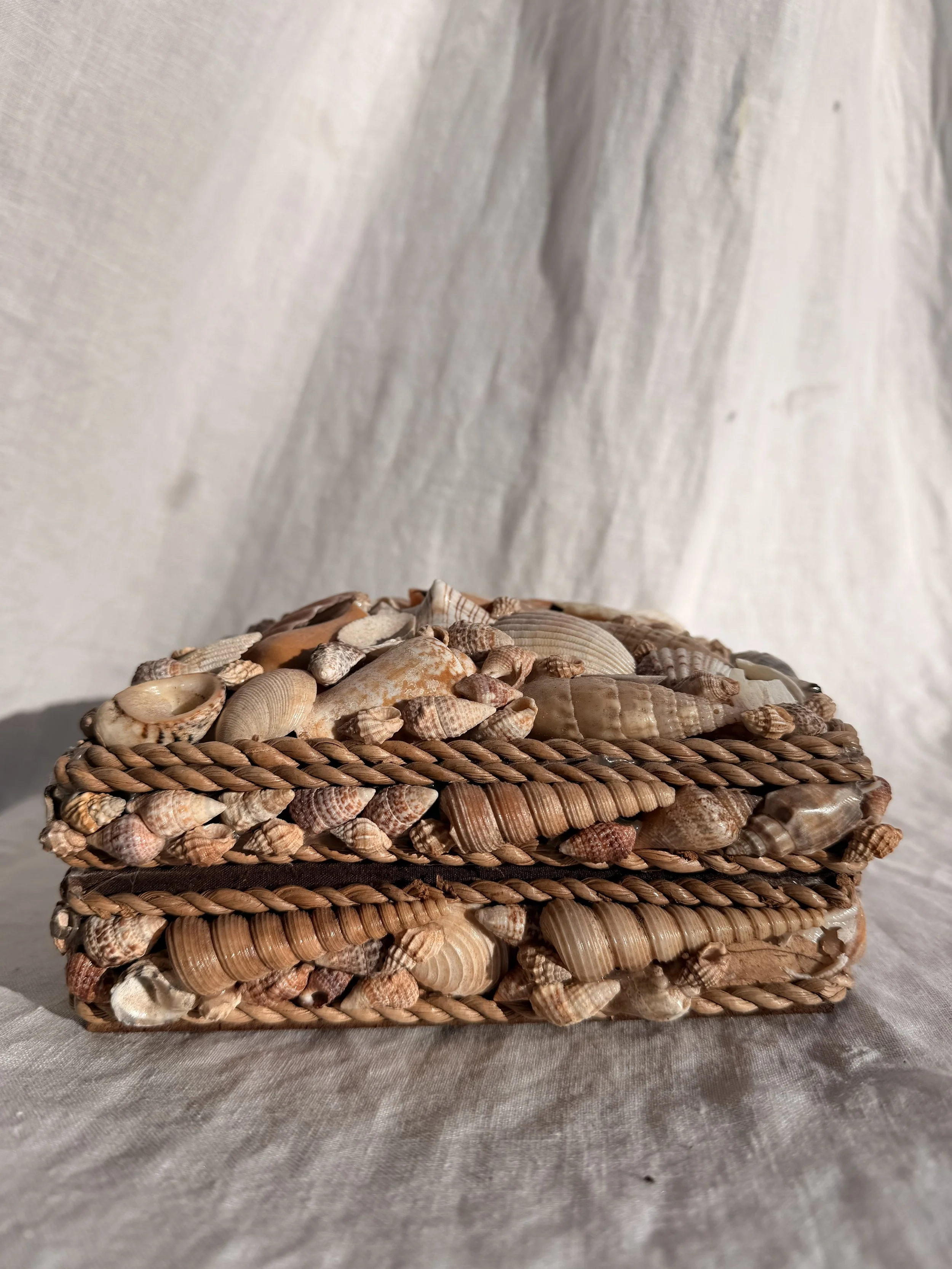 Shell Encrusted Keepsake Box - Large