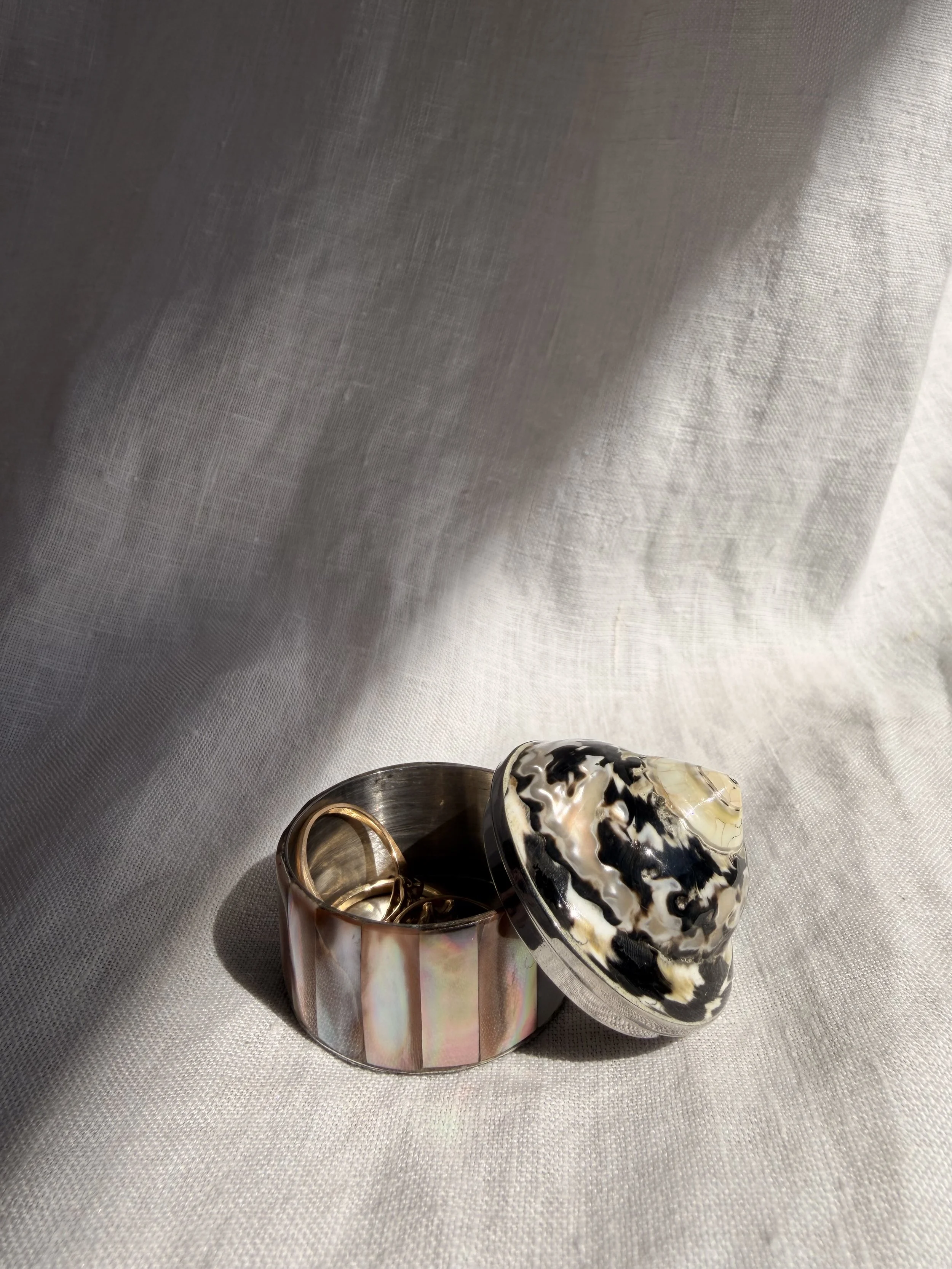 Natural Shell Pill Box - II