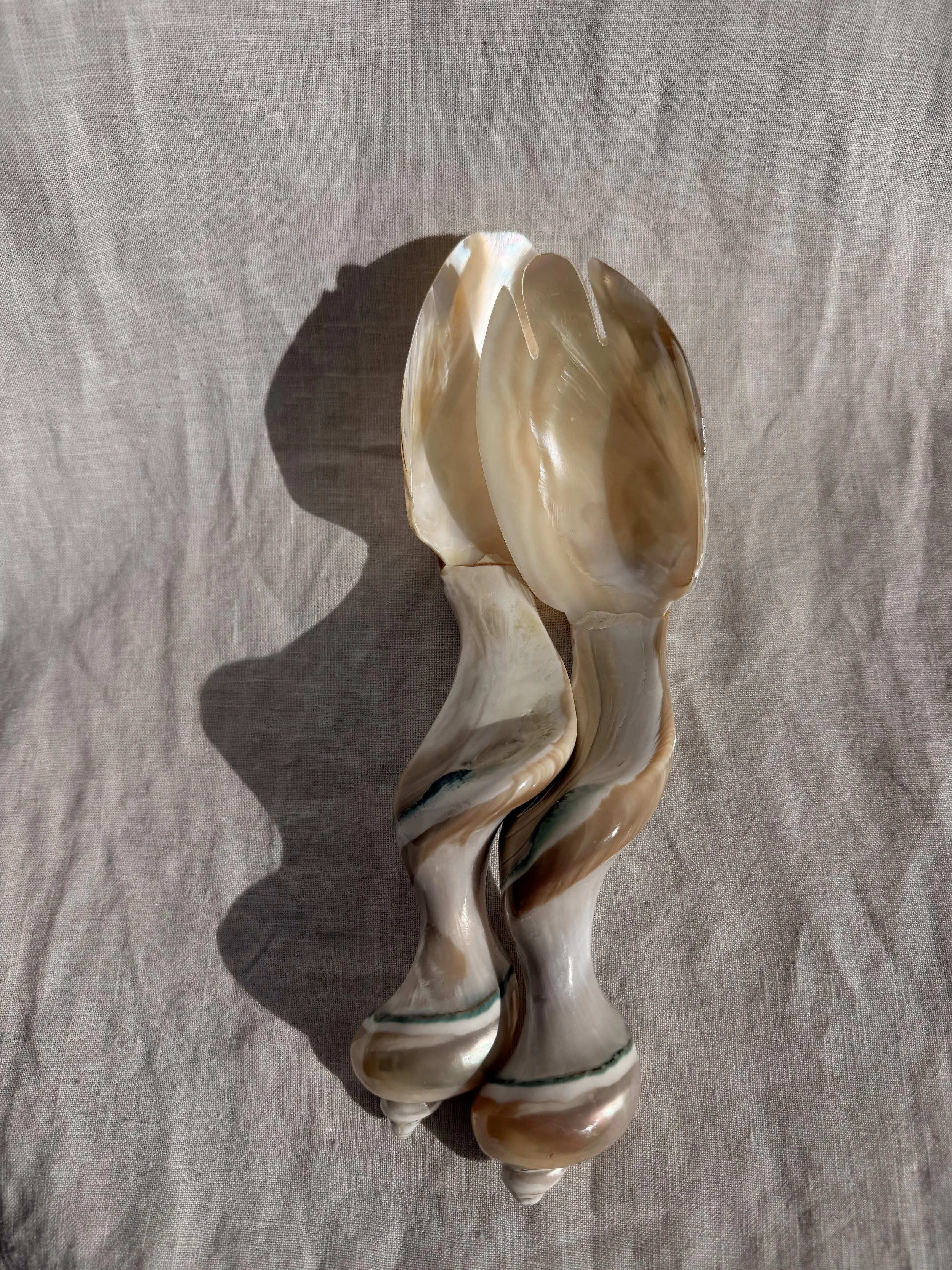 Natural Shell Serving Pair