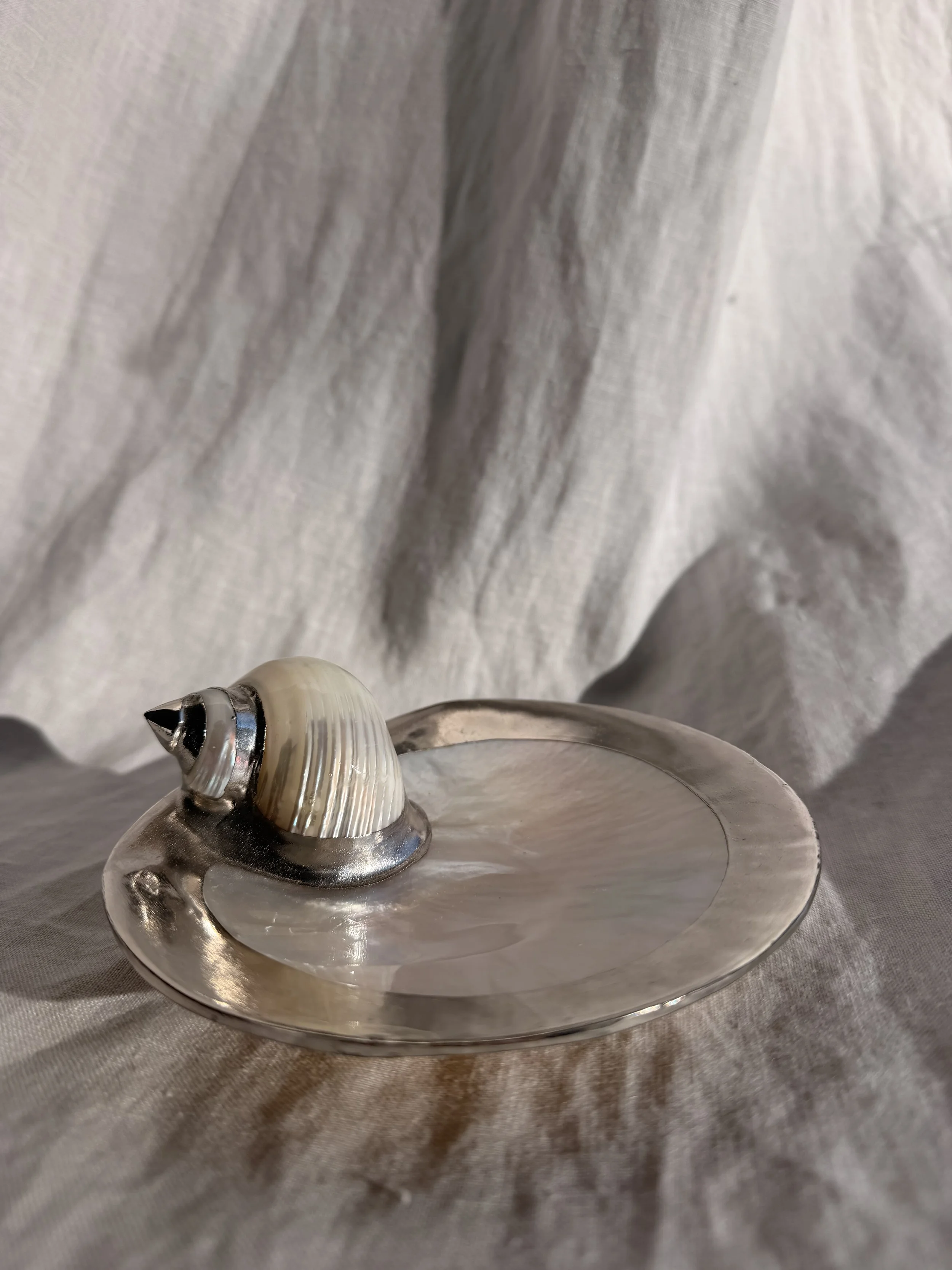 Mother of Pearl Turbo Shell Dish