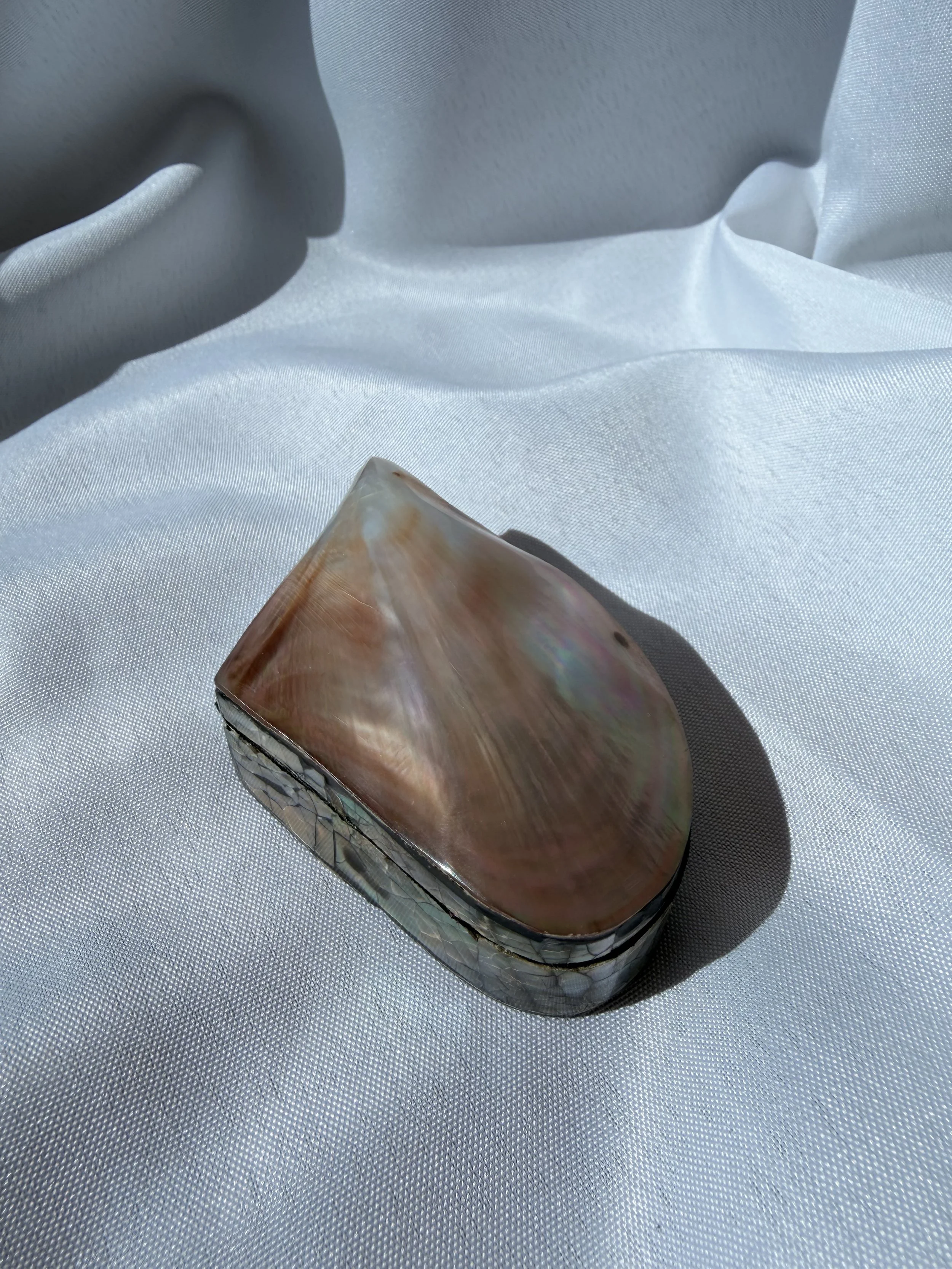Iridescent Pink Shell Box