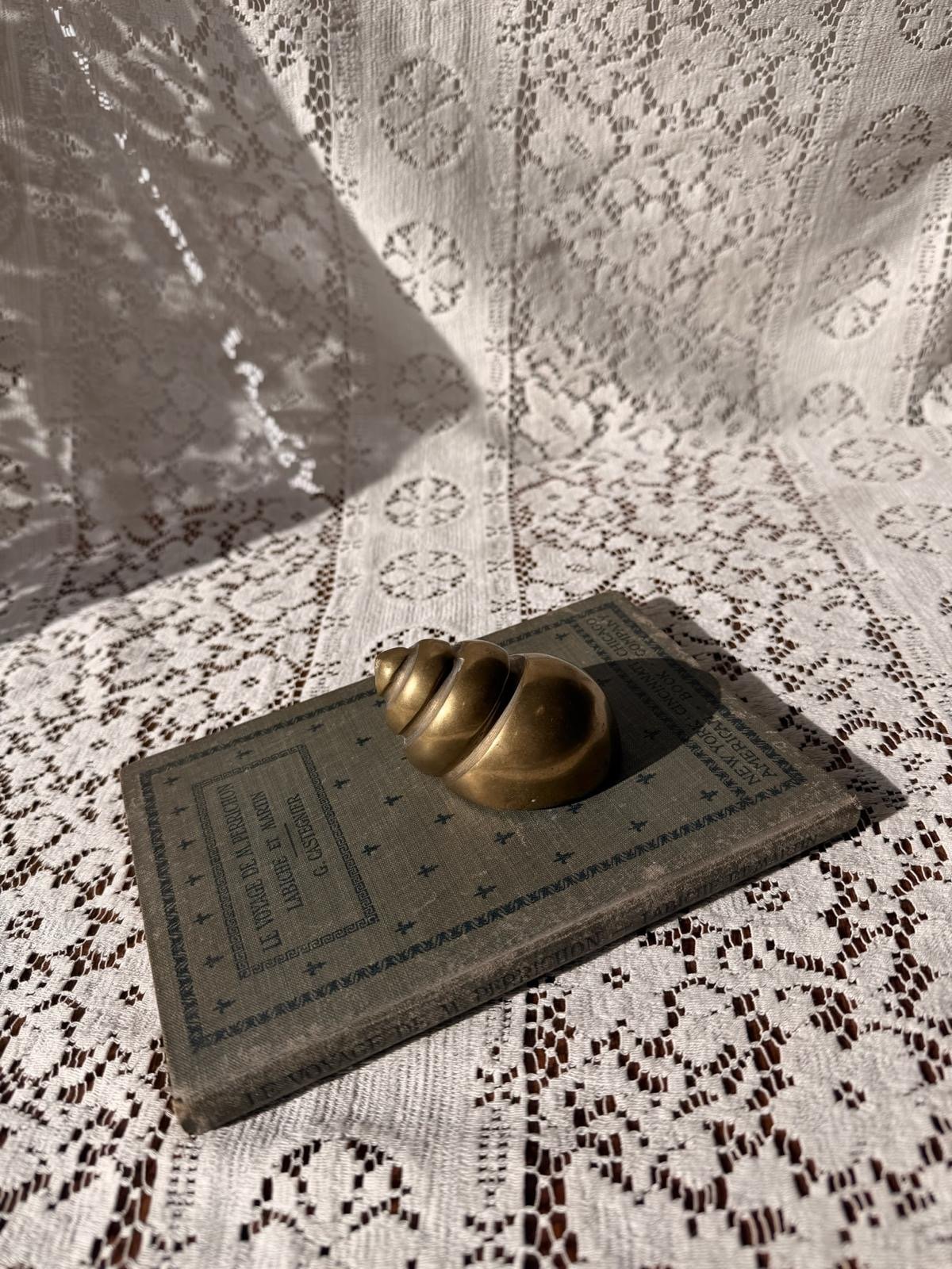 Brass Shell Paperweight