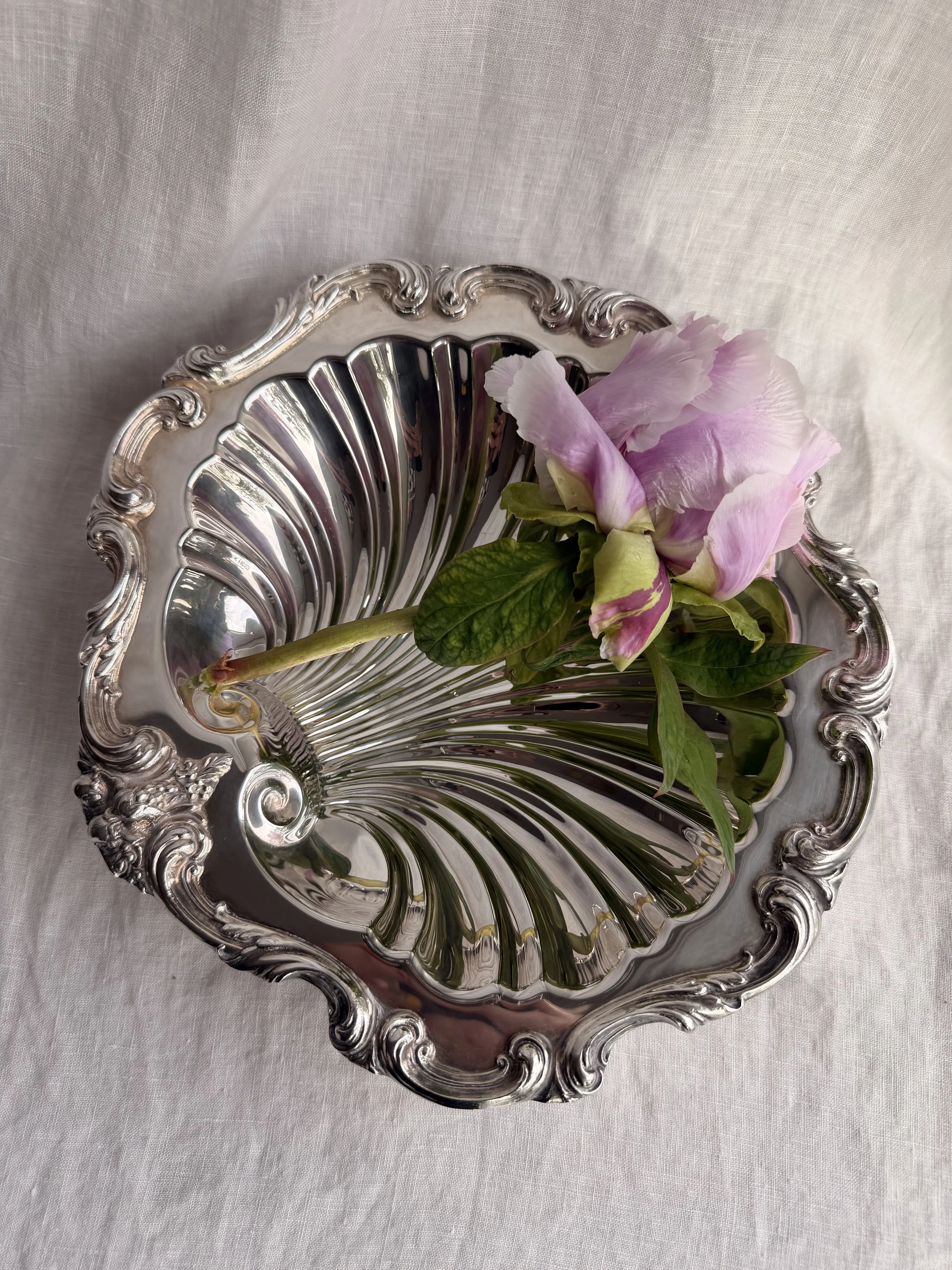 Shell Serving Dish