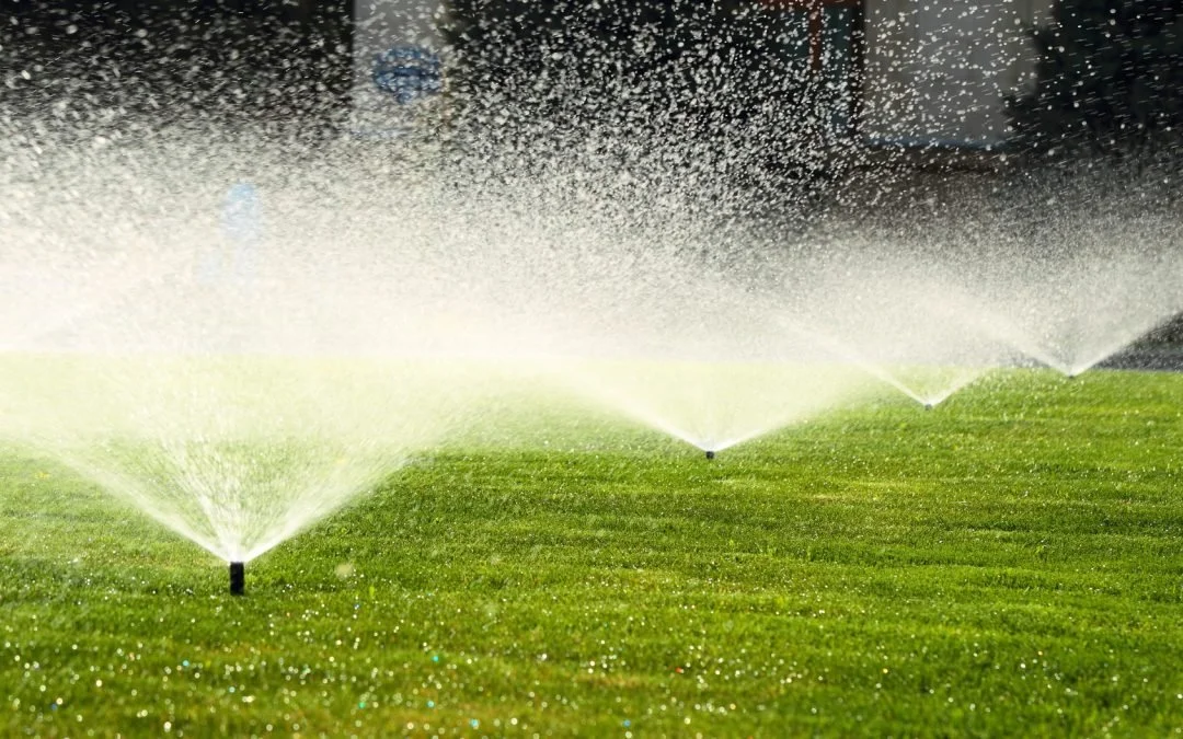Green lawn being watered by sprinklers on a sunny day.