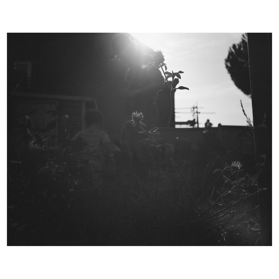 The note I got back from the lab with this roll was &ldquo;Hey, the 120 roll was very underexposed.&rdquo; 😆⁣
Papa &amp; son Tristan in the garden. I wanted to test how much detail would be left in the blacks when exposing for the sky. Also placed m
