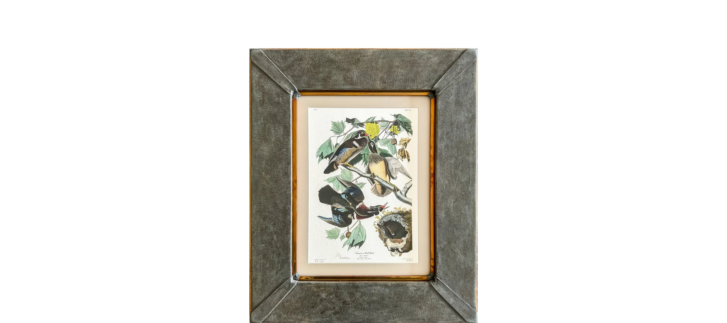 frameed 1.jpg