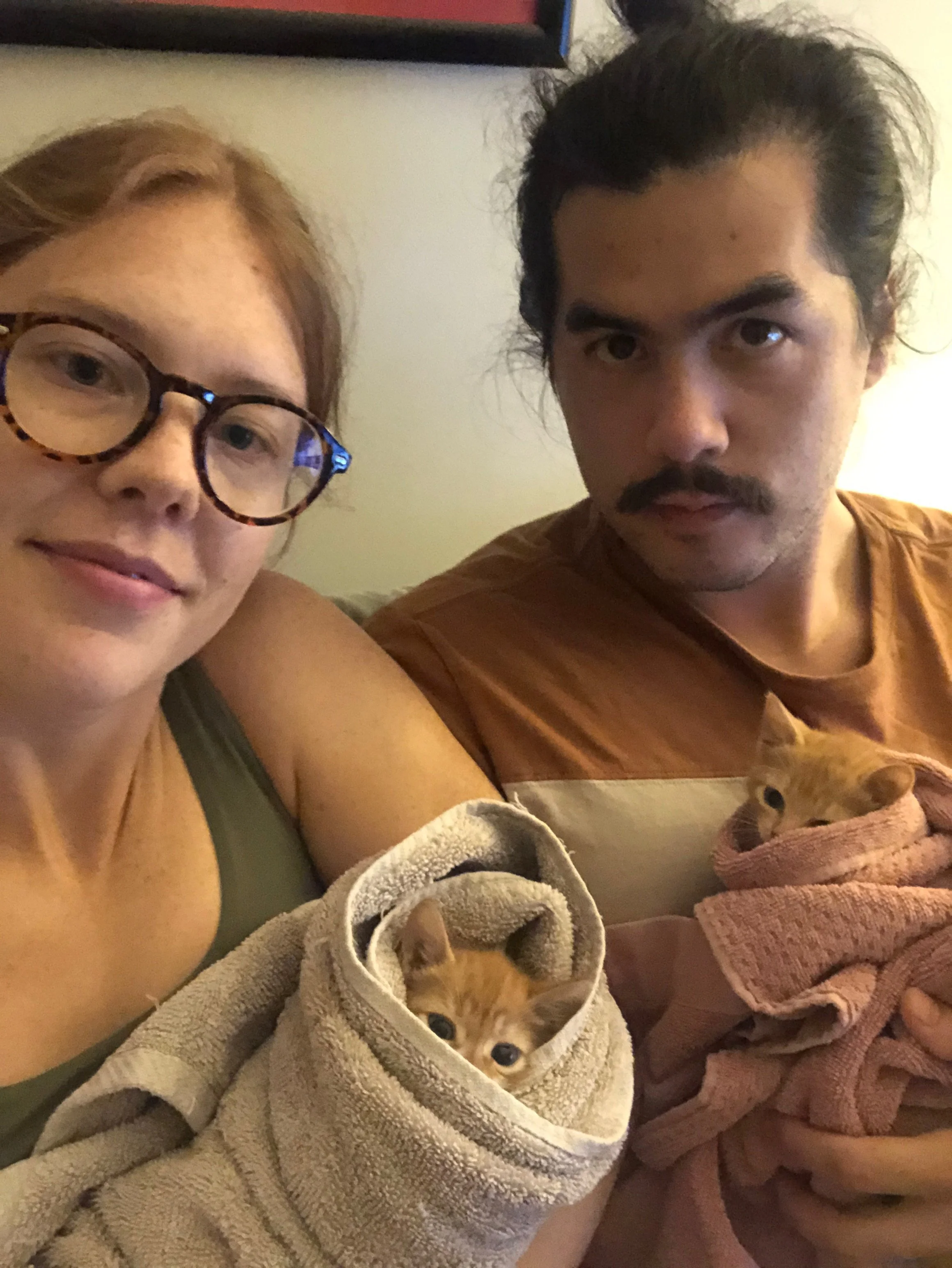 Socializing foster kittens in their "purritos"