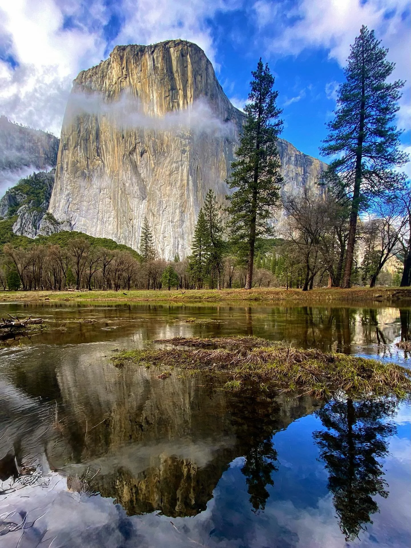 Yosemite! These images were taken over many Yosemite trips with my partner&mdash;the one who reignited my love for seeing the world through a lens-thank you @bradleyphotographic 
He taught me to slow down and see. Photography became a quiet, meditati