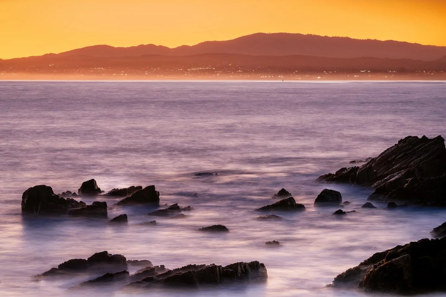 City in Nature: Lately I keep finding myself drawn to the places where the city and nature overlap: streetlights in the fog, bridges floating on water, whales surfacing with smokestacks in the distance, city beaches
So I&rsquo;m starting a little ser