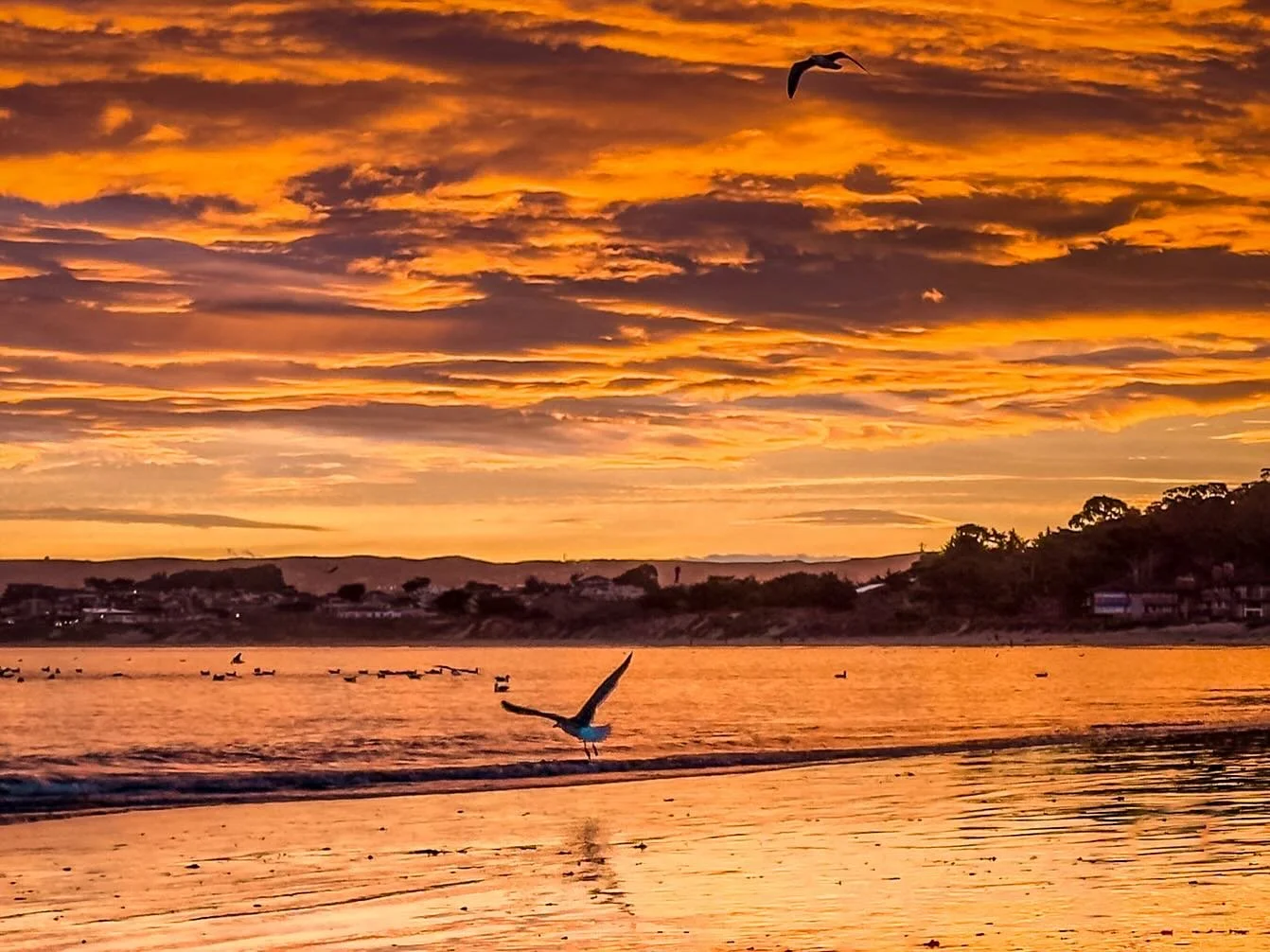 One of those unreal mornings on Del Monte Beach. The light kept changing every second revealing reflections, color, movement&hellip;I couldn&rsquo;t stop watching &amp; shooting 📷 #selinasphotovisions #delmontebeachsunrise #iphone16promax #quietmorn