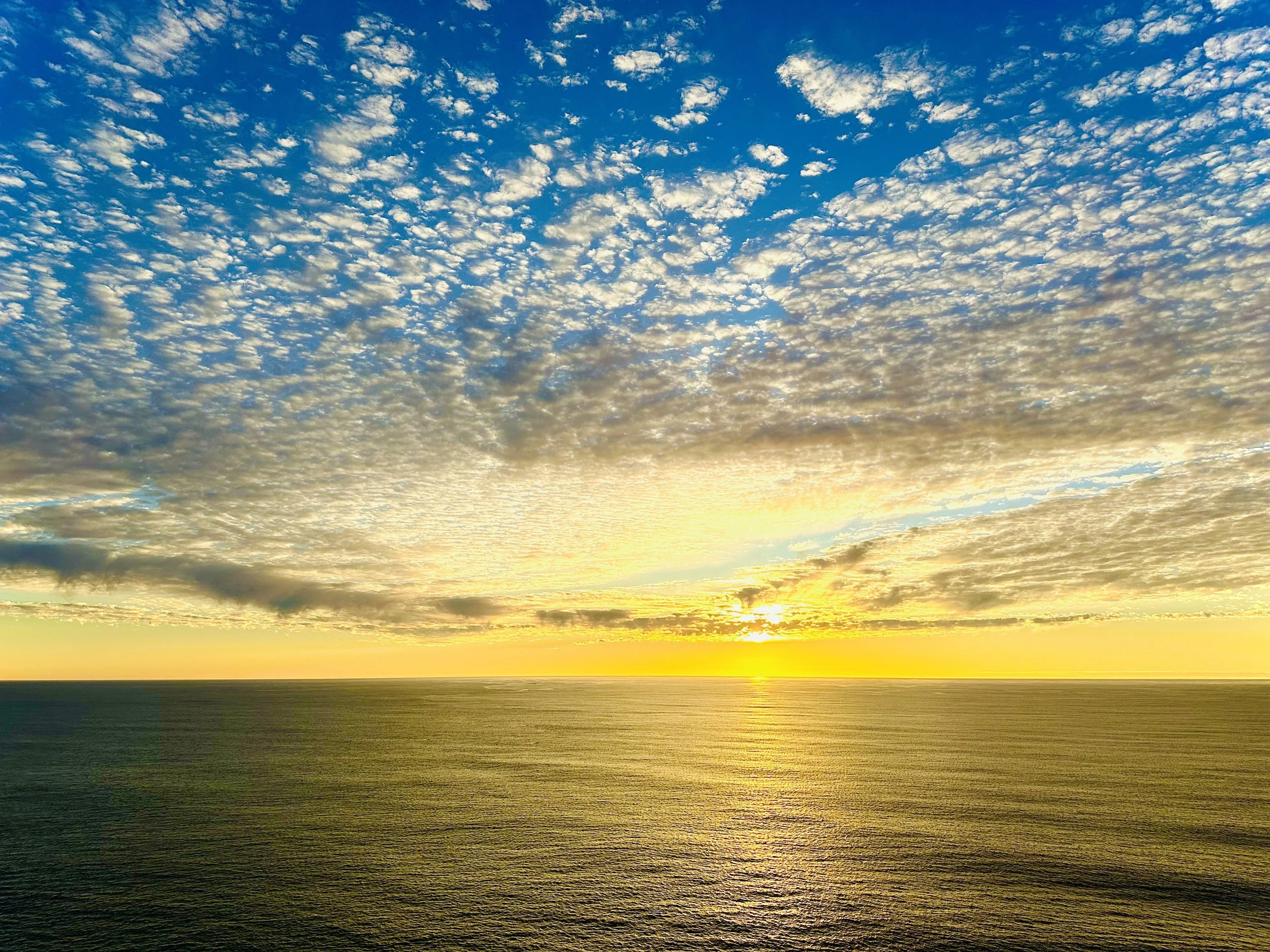 IMG_9934.jpg