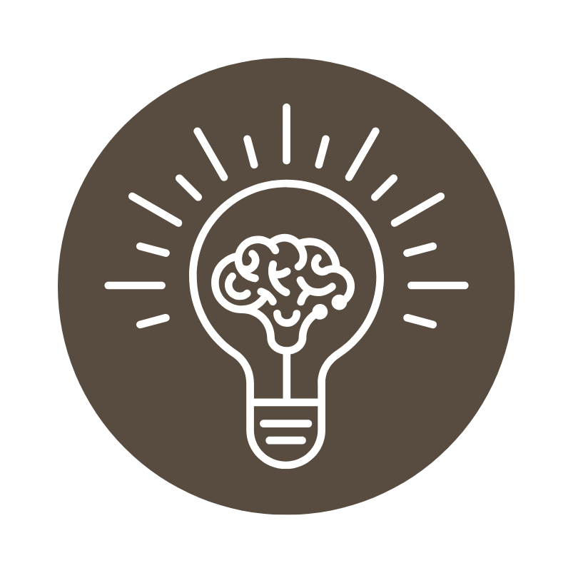 Lightbulb icon symbolizing creative vision