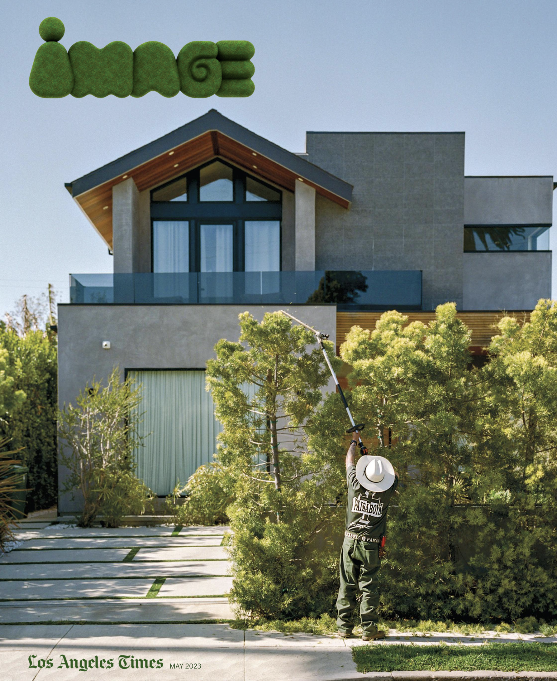 Issue 19: Clearance