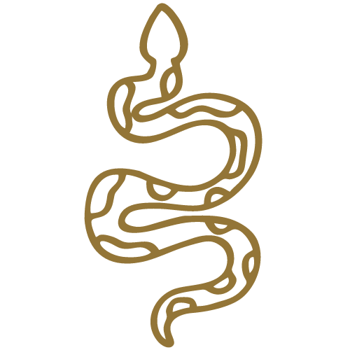 Illustration of a candle with a snake coiled around it.