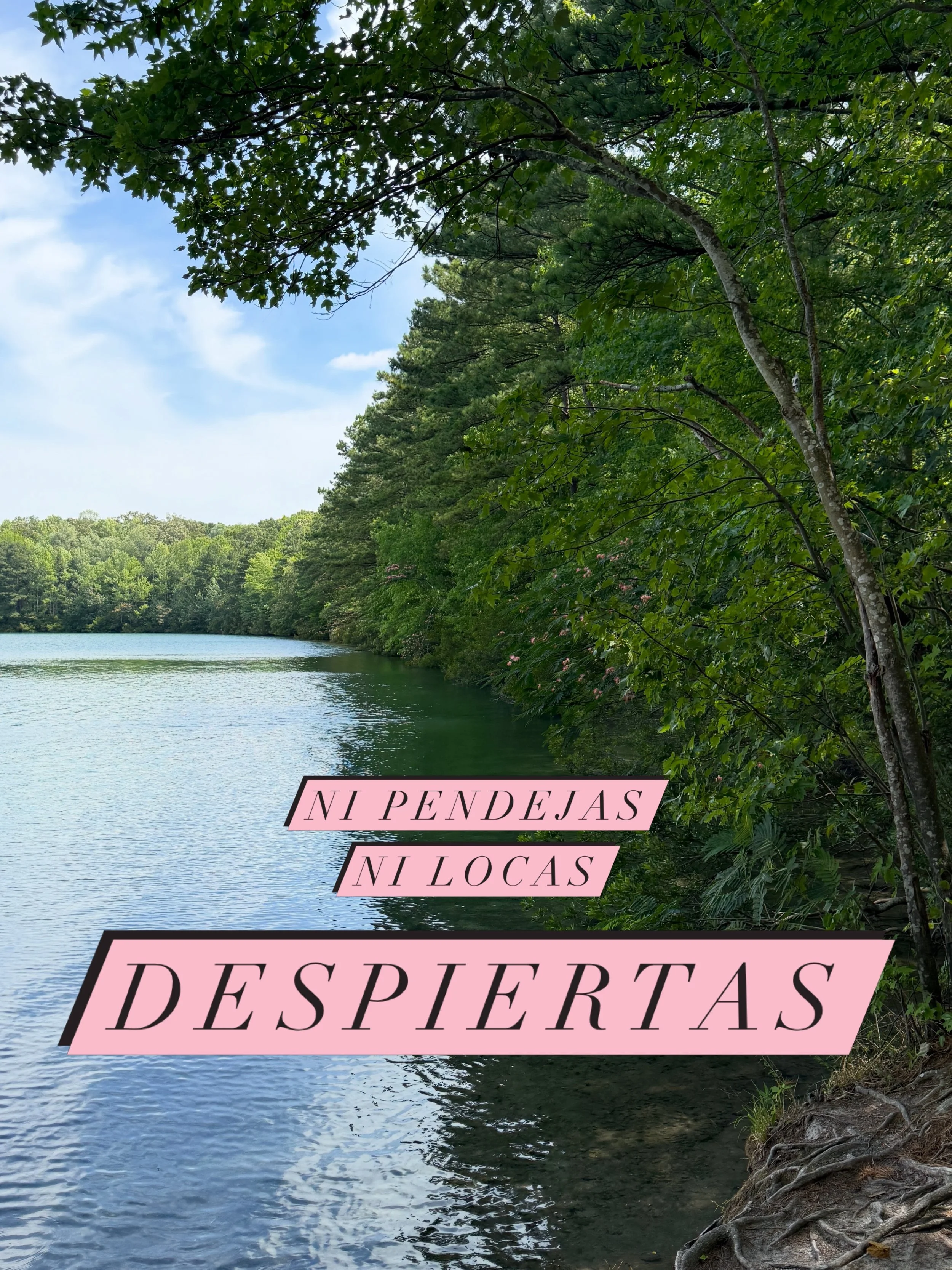 Mujeres capaces de sostener con ternura y, al mismo tiempo, poner l&iacute;mites con firmeza. 

Nuestra sensibilidad no es debilidad; es una fuente de sabidur&iacute;a que nos permite sentir, discernir y actuar con conciencia. 

Despiertas, elegimos 