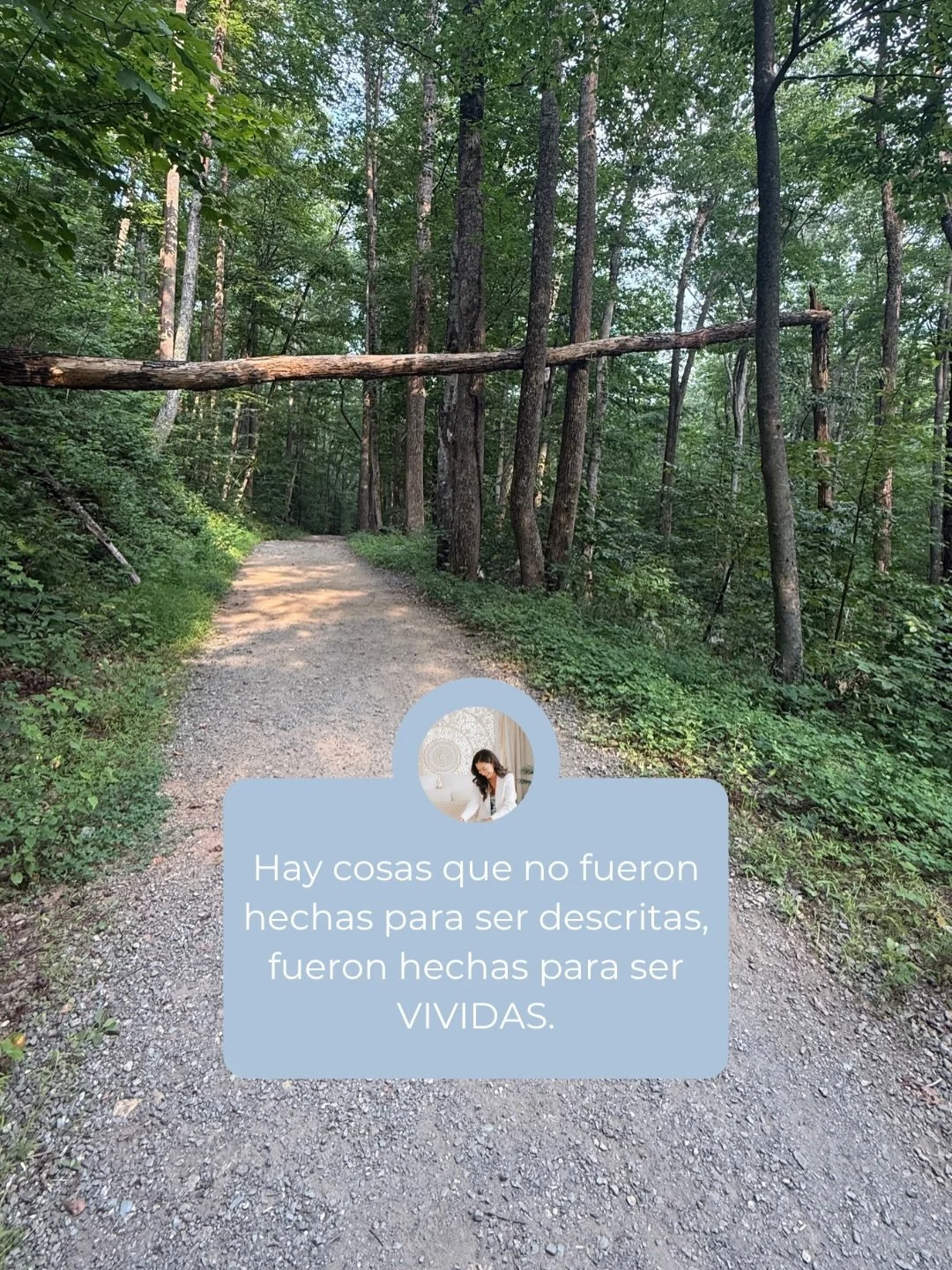 Donde el lenguaje se queda corto, la experiencia lo es todo. 

🩵