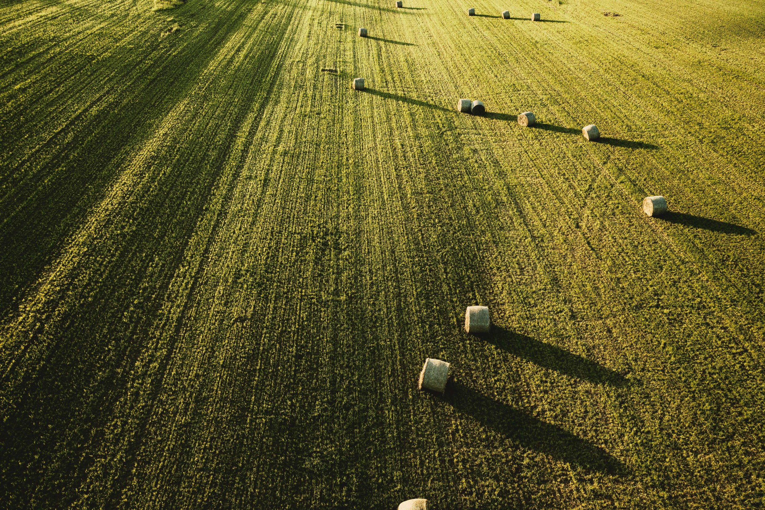 large-beautiful-agricultural-field-with-stacks-hay-shot-from-LR.jpg