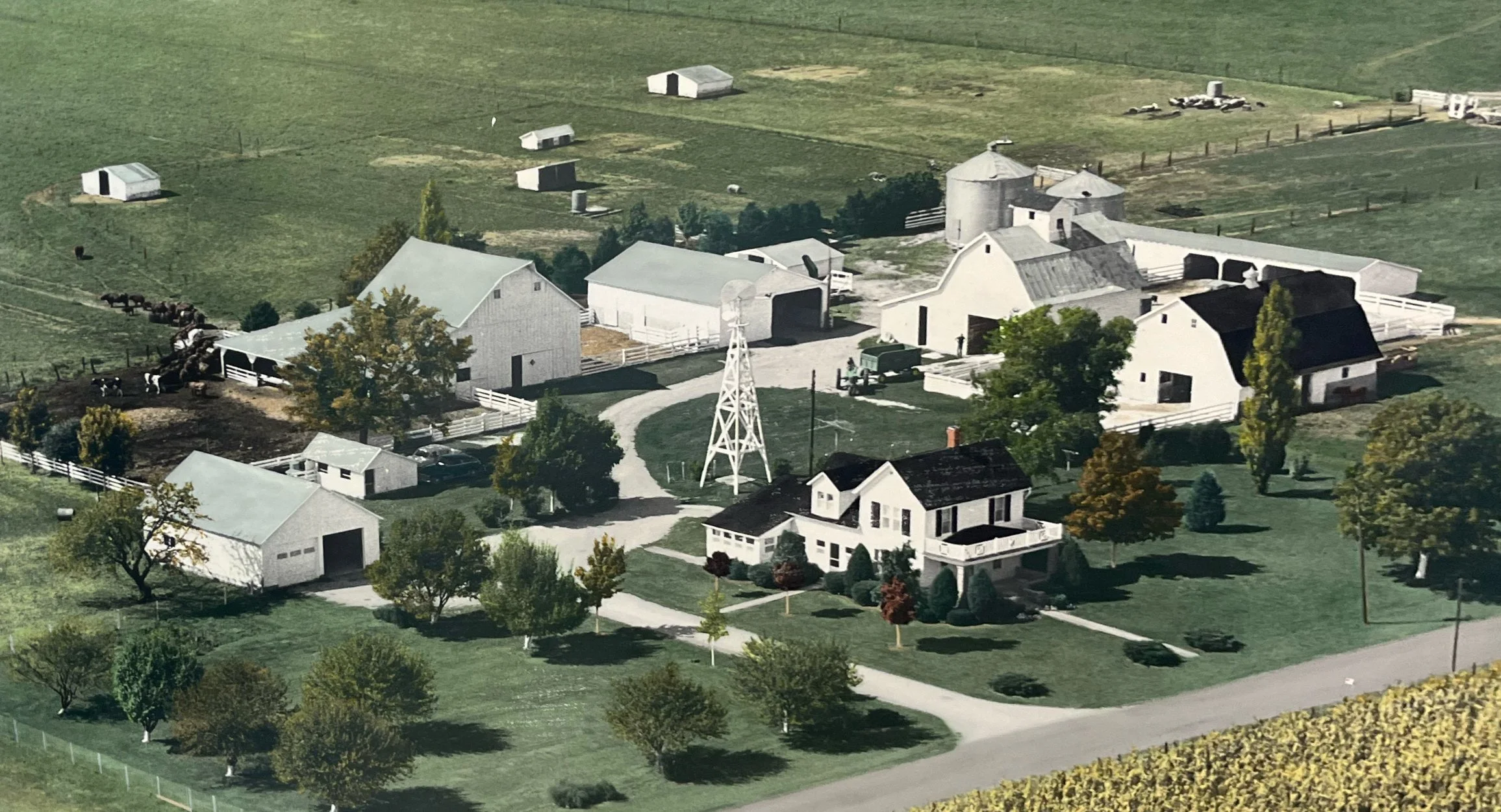 Aerial view of a farm with multiple white buildings, green fields, and trees, including a farmhouse, barns, silos, and a windmill, surrounded by fencing and farmland.