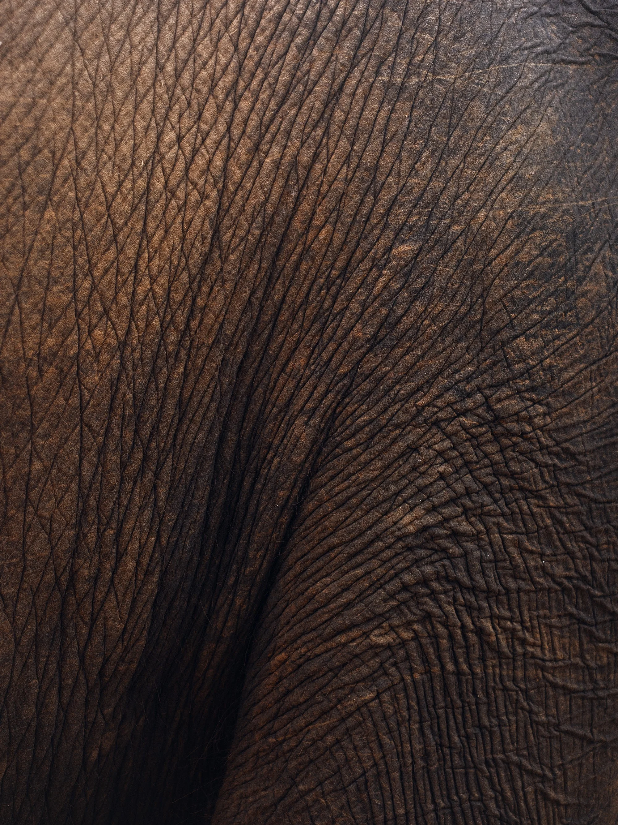 2/18