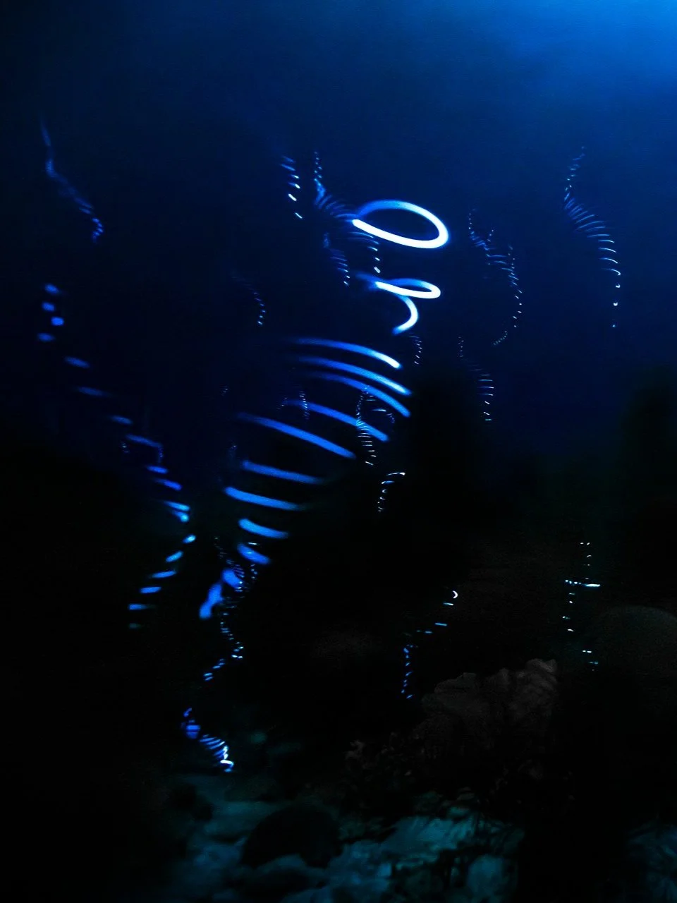 RTL+Bonaire+2022-8622-Enhanced-NR.jpg