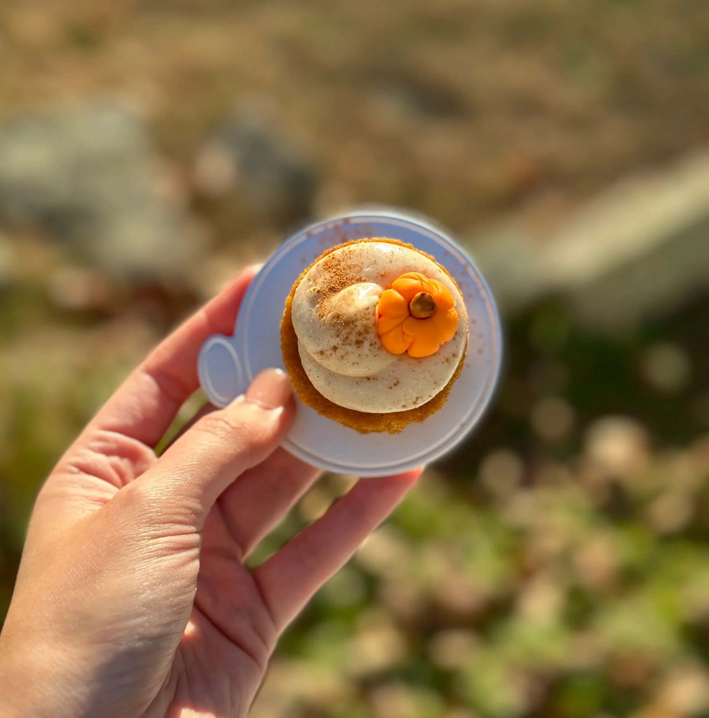 M%26M+Bakery+Mini+Pumpkin+Spice+Cake+2.jpg
