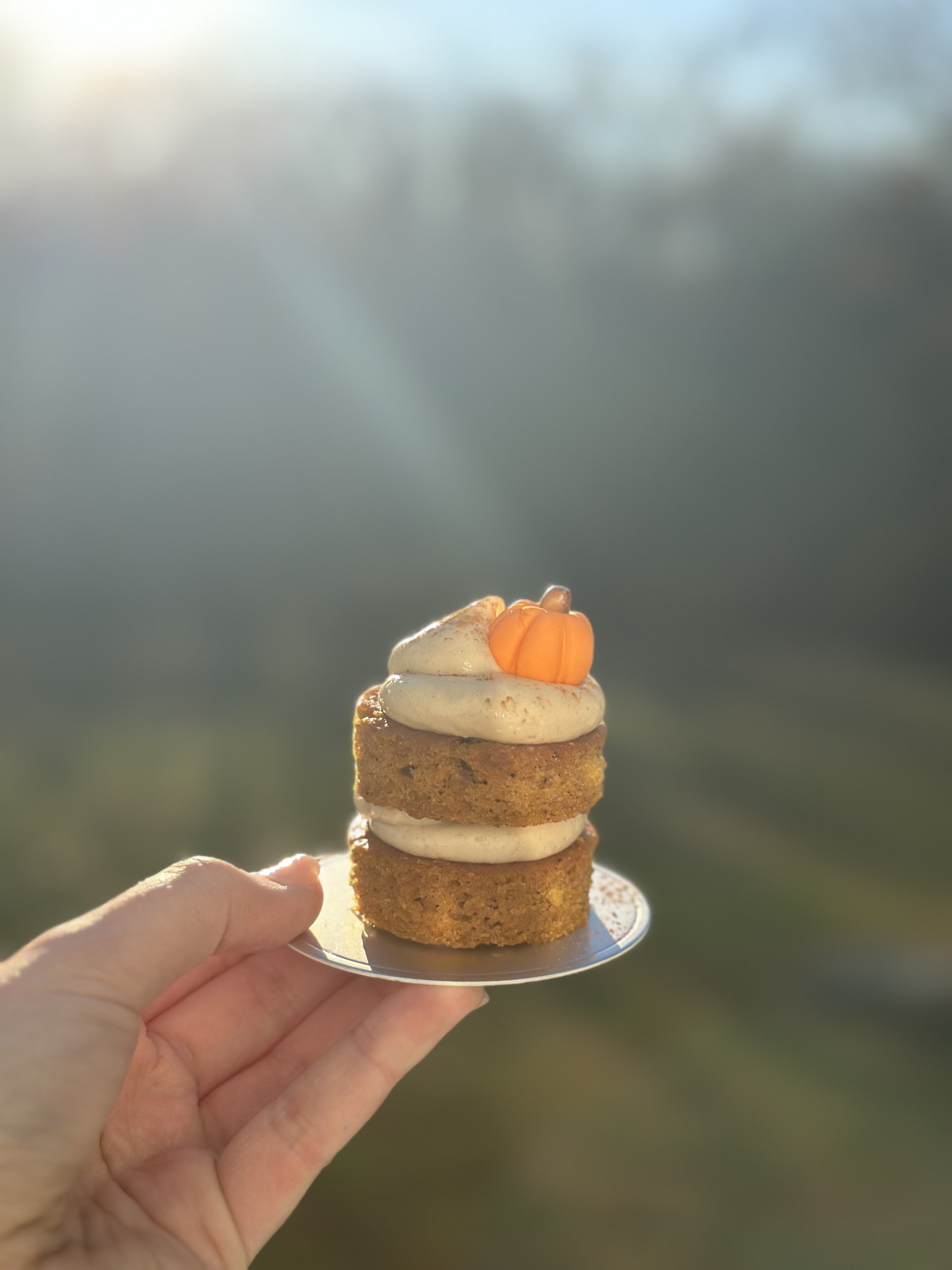 M&M Bakery Mini Pumpkin Spice Cake.jpg