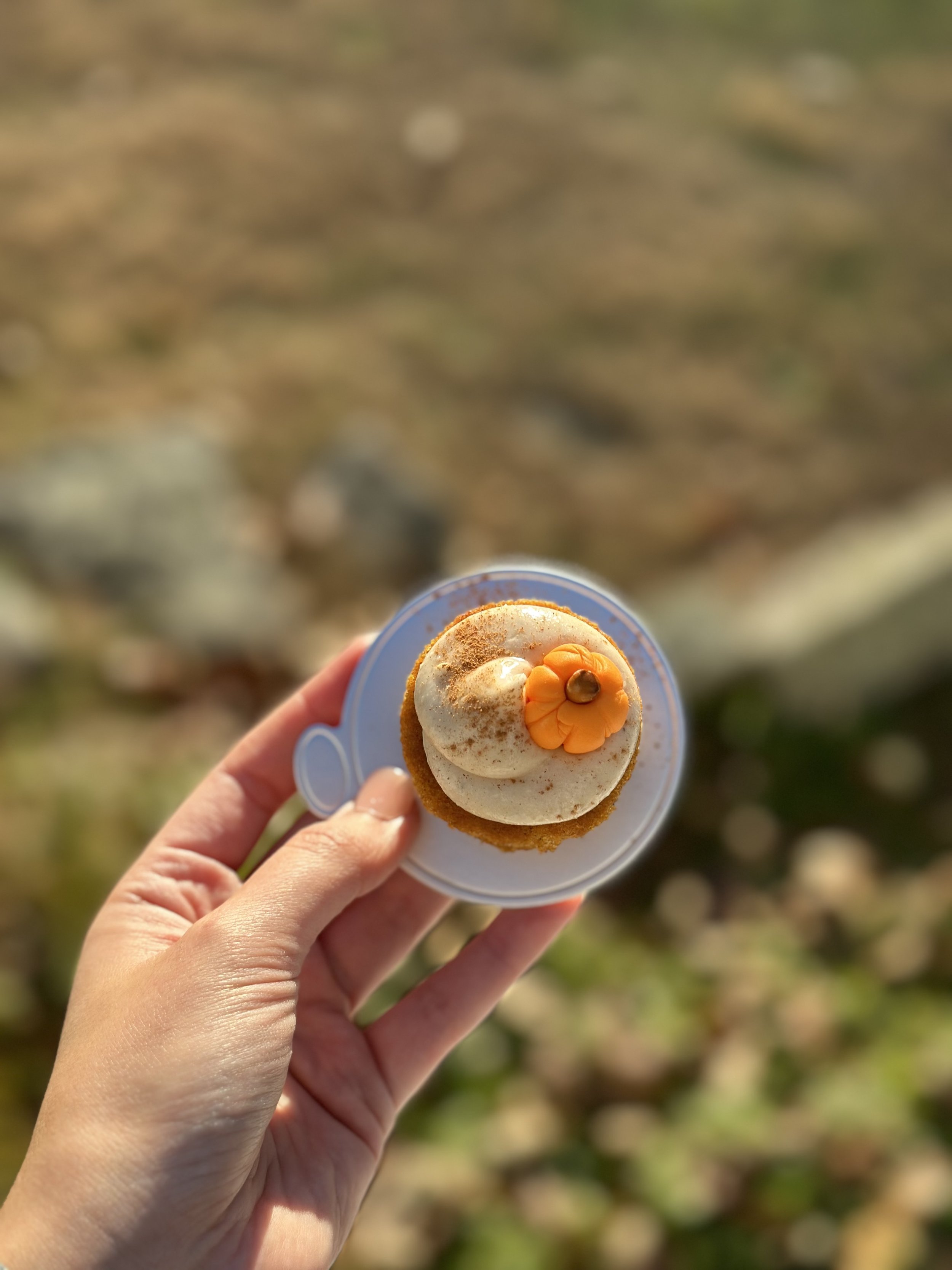 M&M Bakery Mini Pumpkin Spice Cake 2.jpg