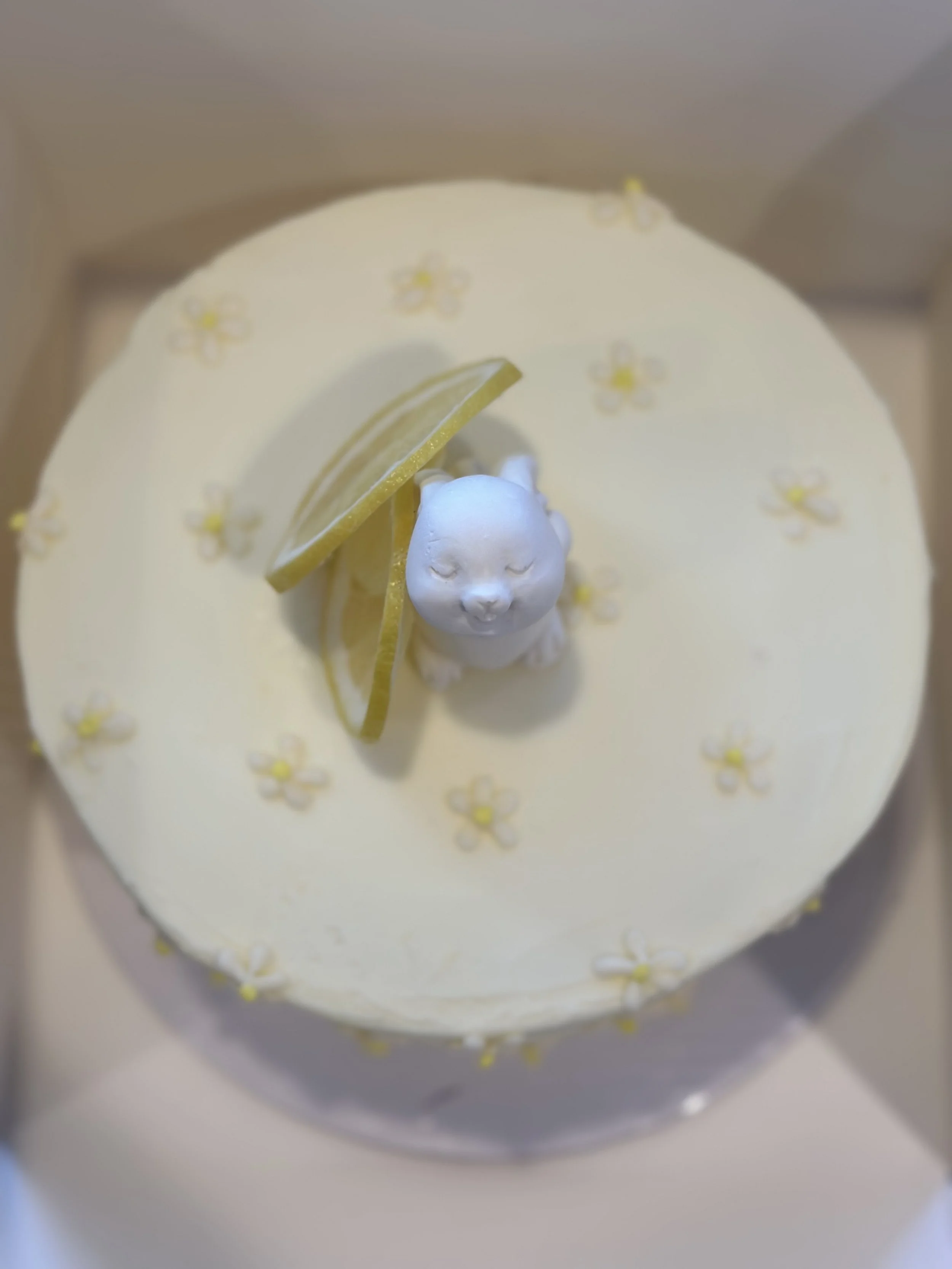 M&M Bakery Bunny Lemon Cake 2.jpg