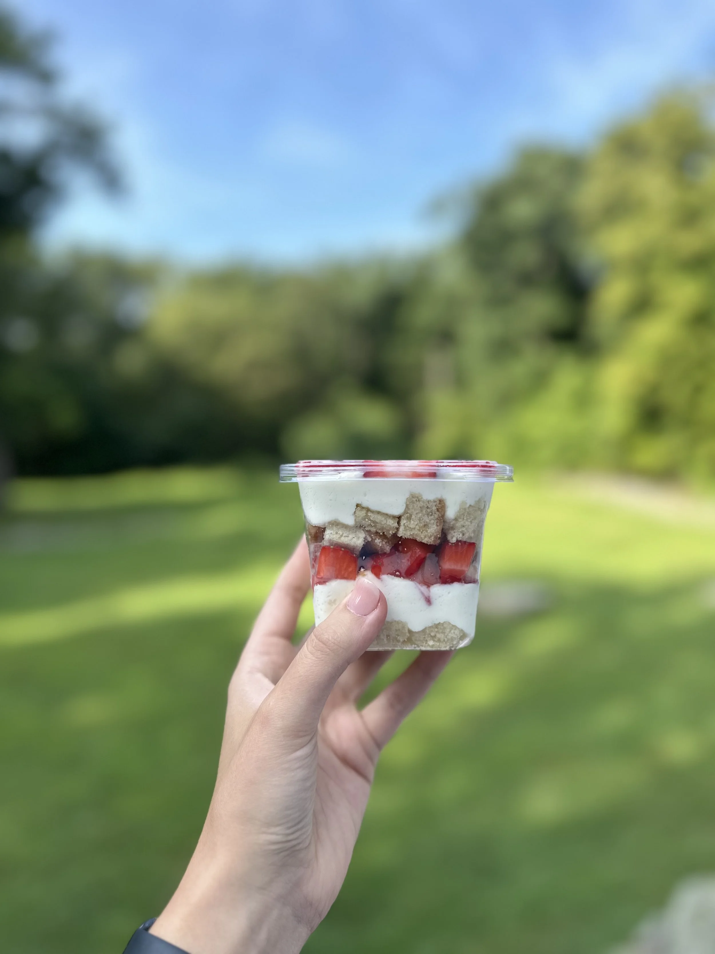 M&M Bakery Strawberry Trifle.jpg