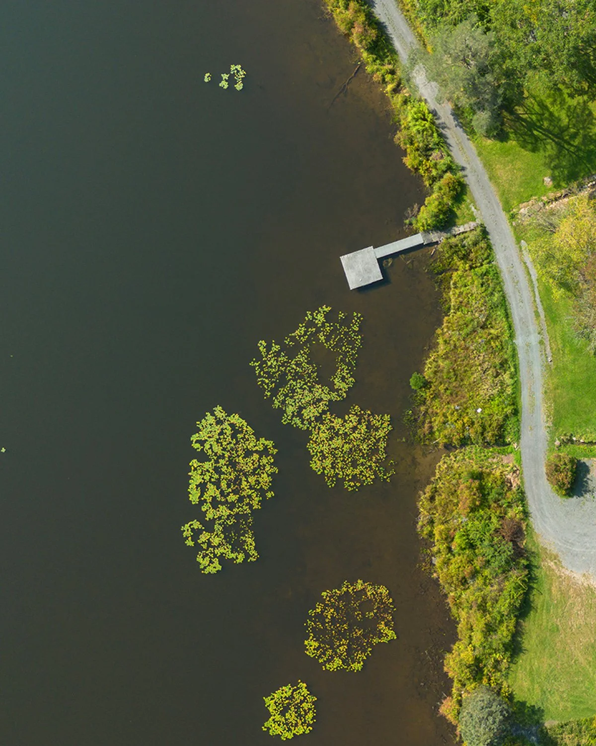 Drone shot of our Deer Lake project down in Long Eddy, NY. More to come.

Photo credit: @rogercasasphoto 
GC: @asmithdesignbuild 

#upstatearchitect #upstatenewyork #dronephotography