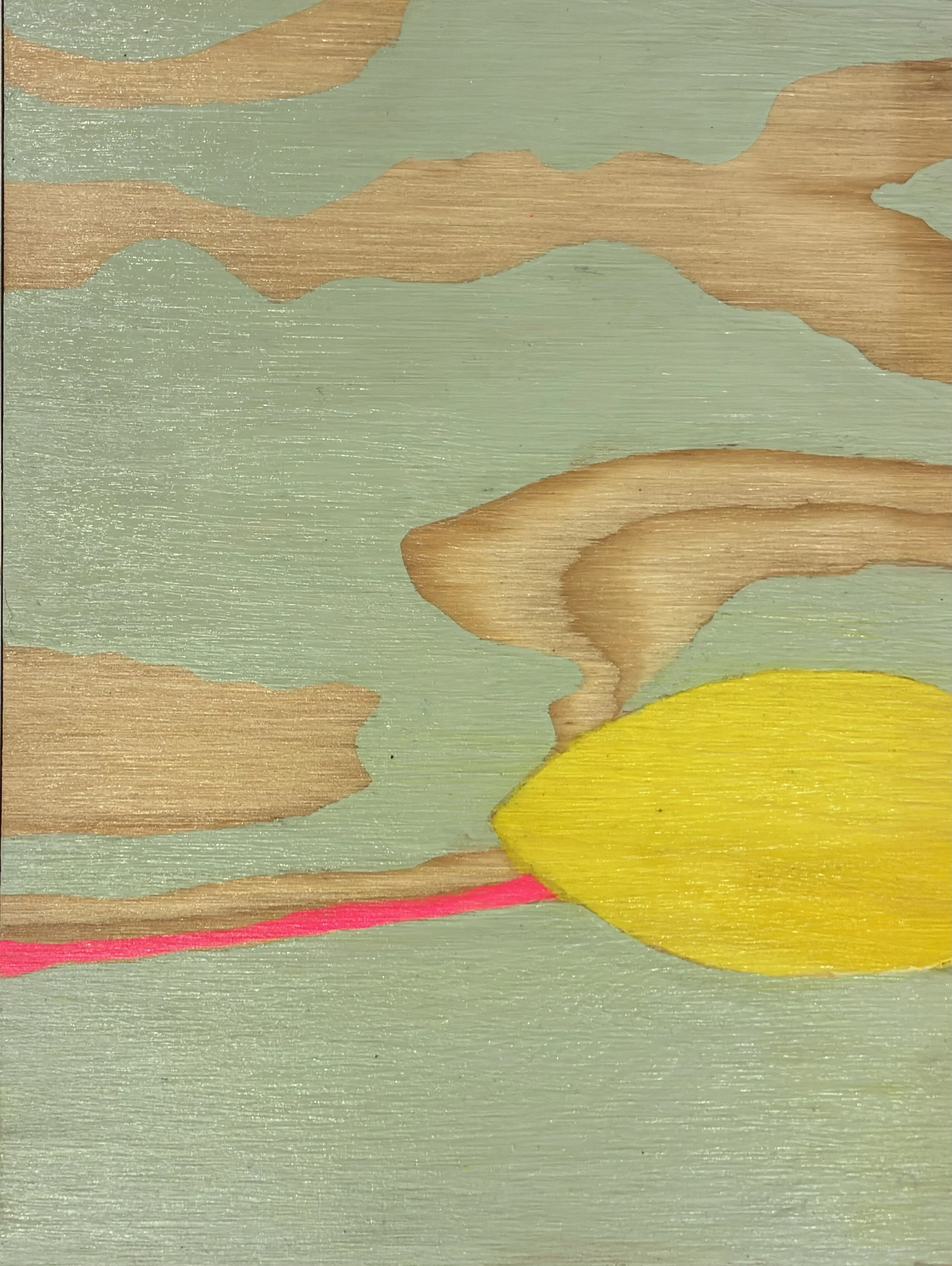 Slayter - Yellow Kayak at Dawn Bay Beach.jpg