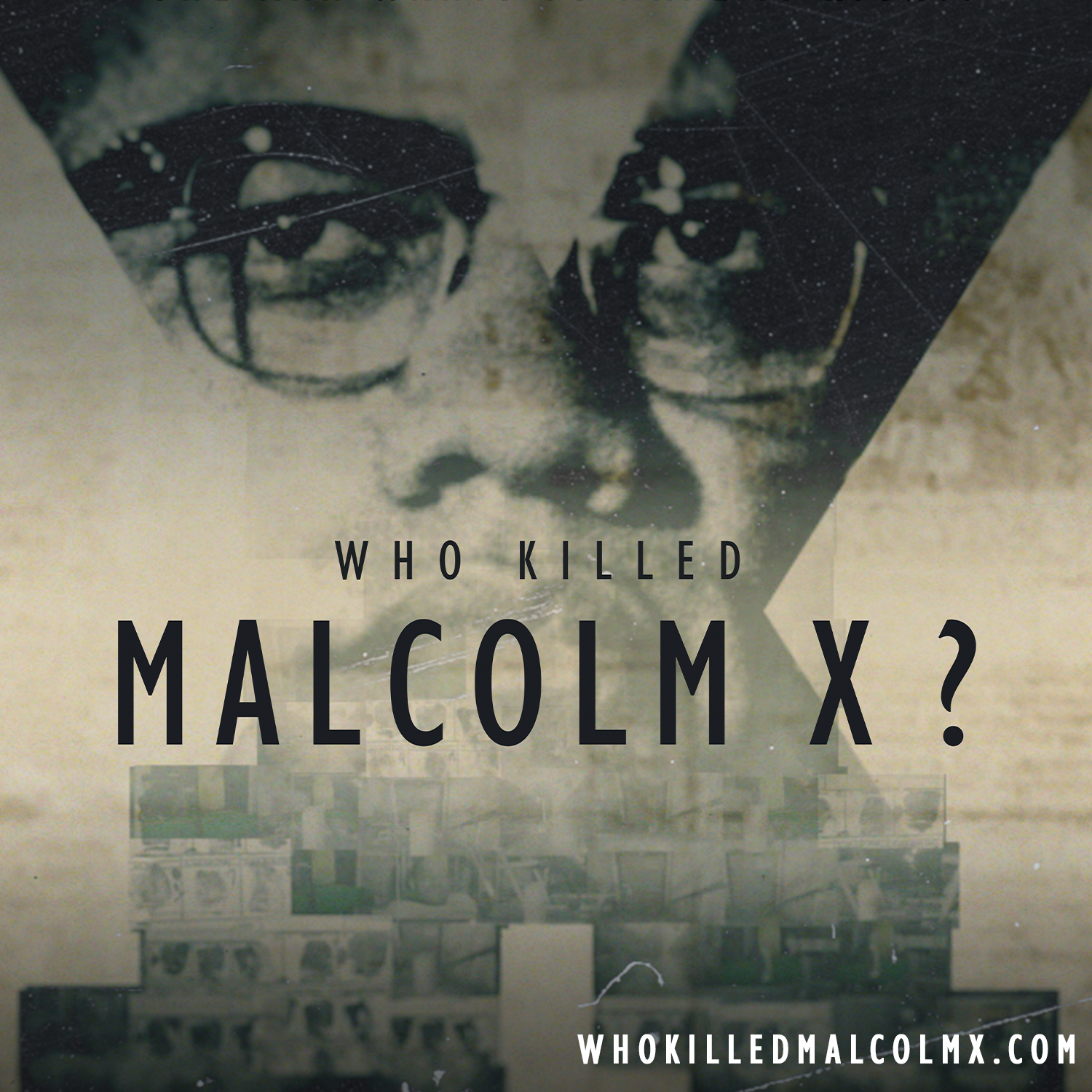 WHO KILLED MALCOLM X.png
