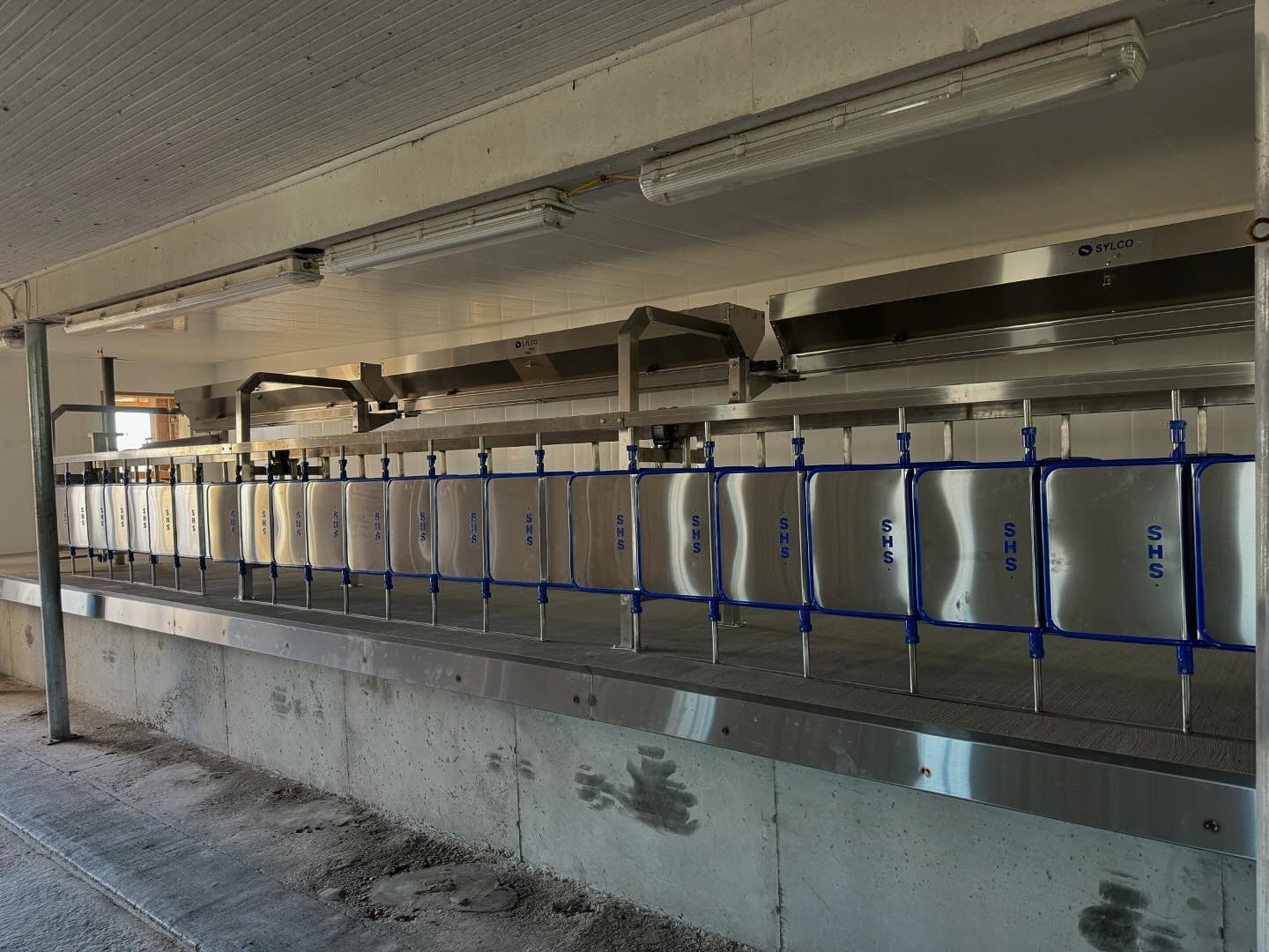 Things are coming together with the parlor fully installed. ~75 pregnant does leafing through what to expect when you&rsquo;re expecting. Some first timers, some grizzled vets. 130 days away from a #milkexplosion

#goats #goatdairy #dairy #dairyfarm 