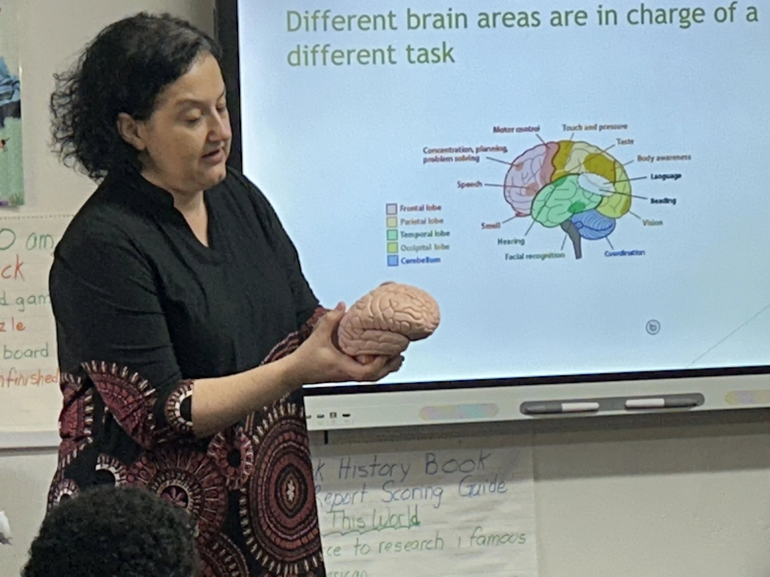 A Brainy Afternoon at Parkside