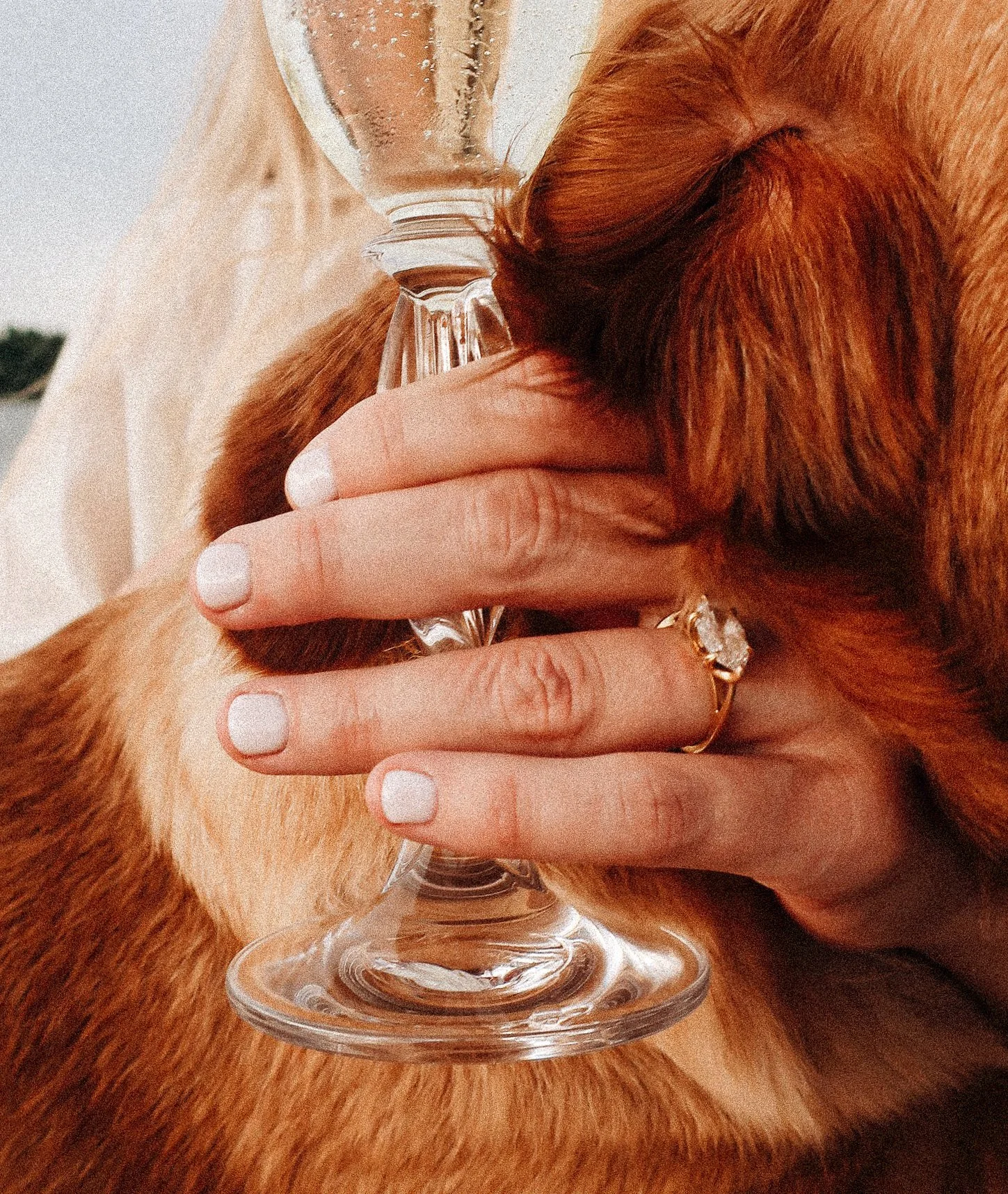 0D39180E-D6A2-4075-91E6-907B488CEF66 2.jpg